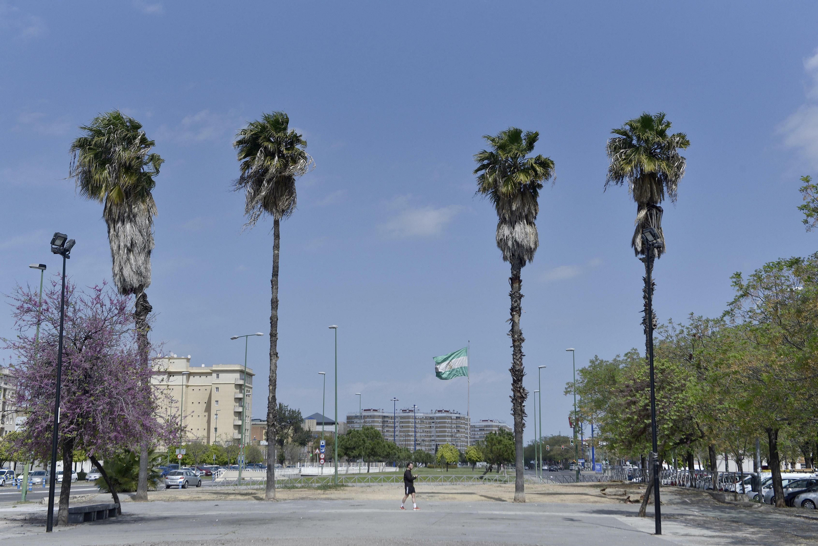 El mal estado de la Ronda del Tamarguillo, en imágenes