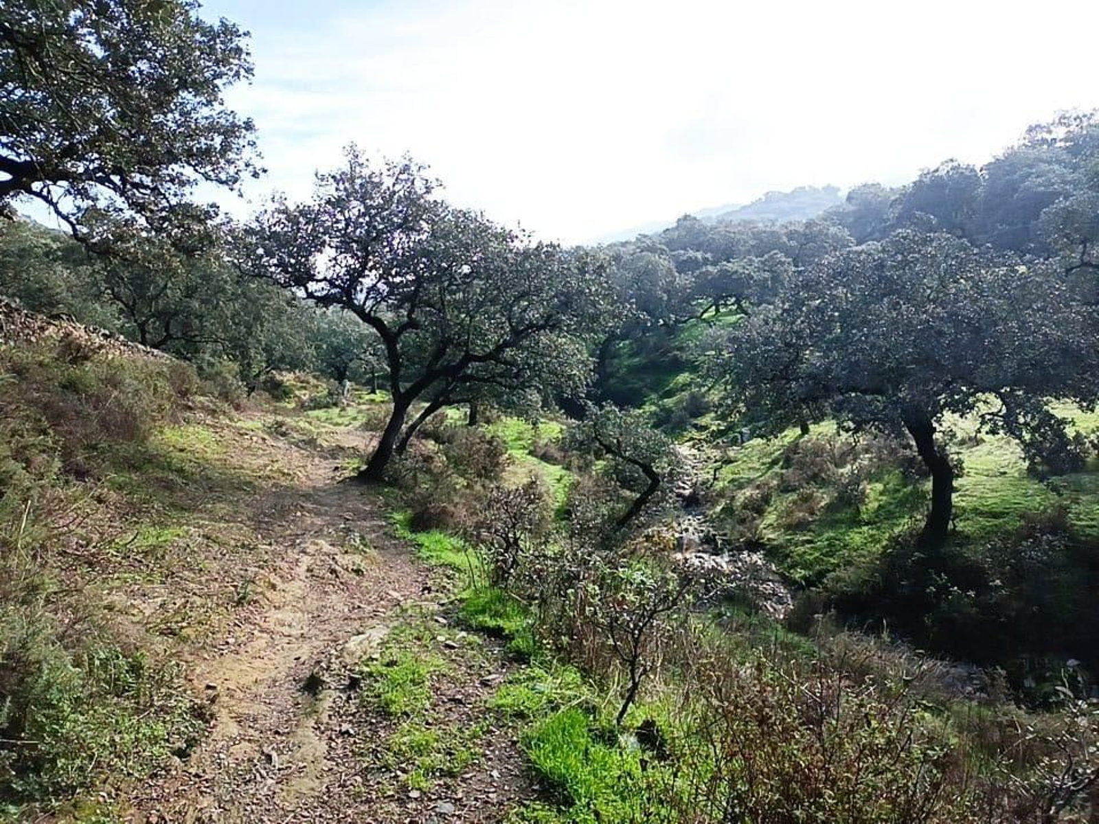 Nos mantenemos siempre entre los mismo límites.