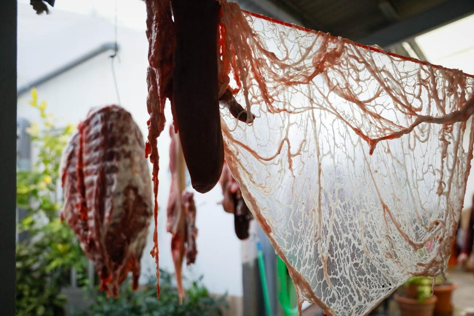 Te contamos en imágenes como son las matanzas en Chirivel