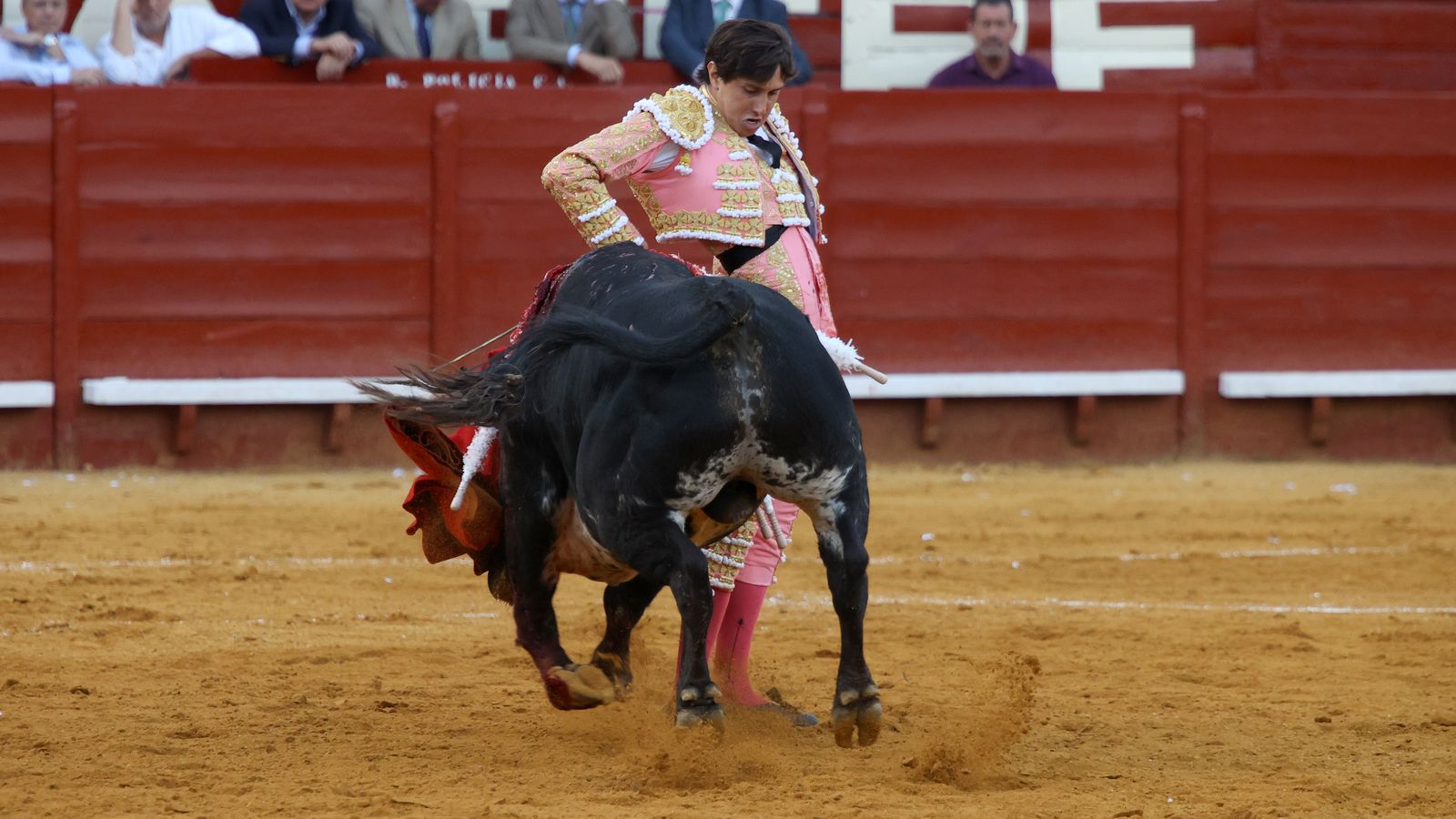 Tercera tarde de toros y última de la Feria de Jerez con Morante, Juan Ortega y Roca Rey