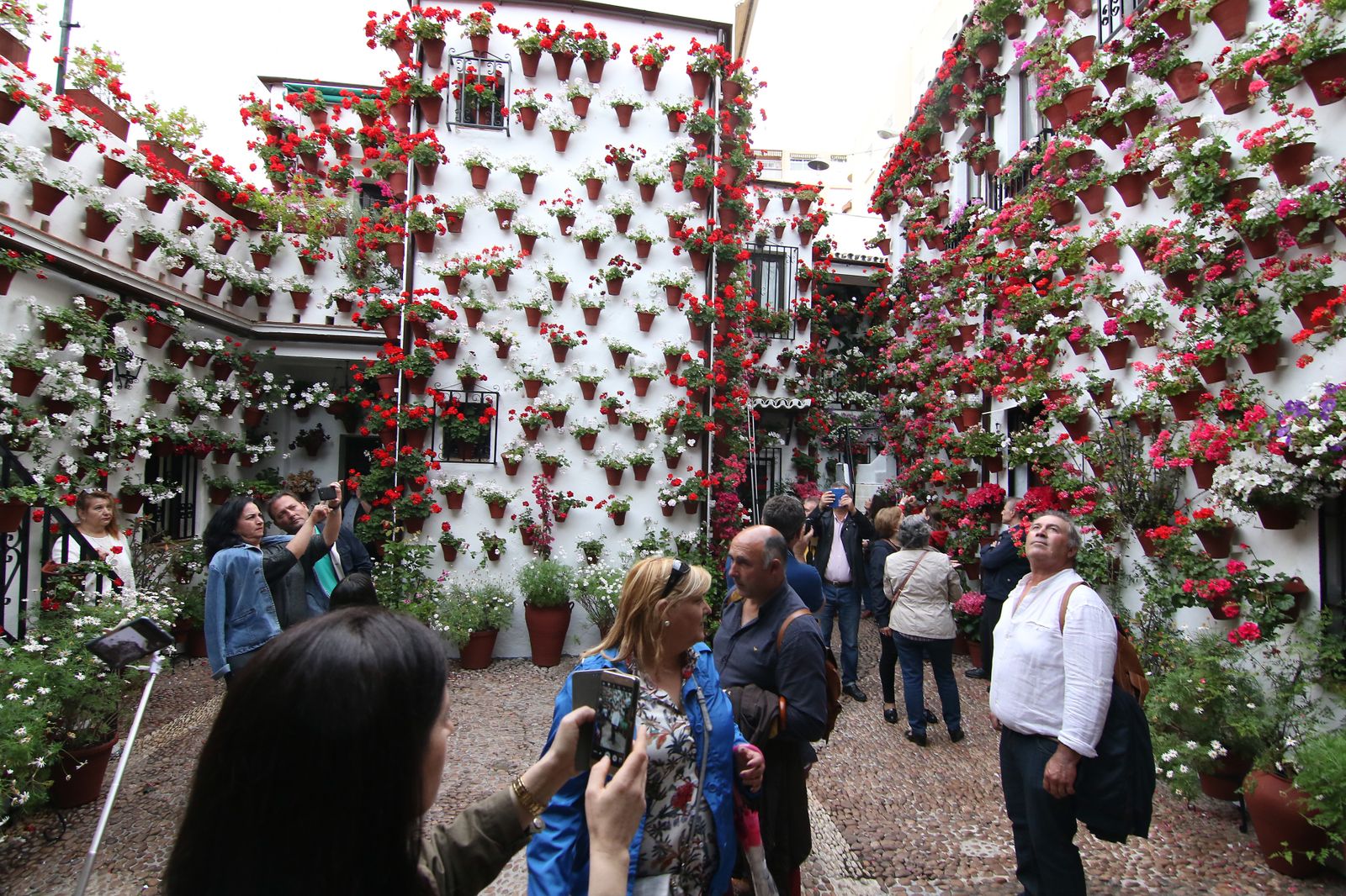 Los patios ganadores en el concurso de los Patios de Córdoba 2017