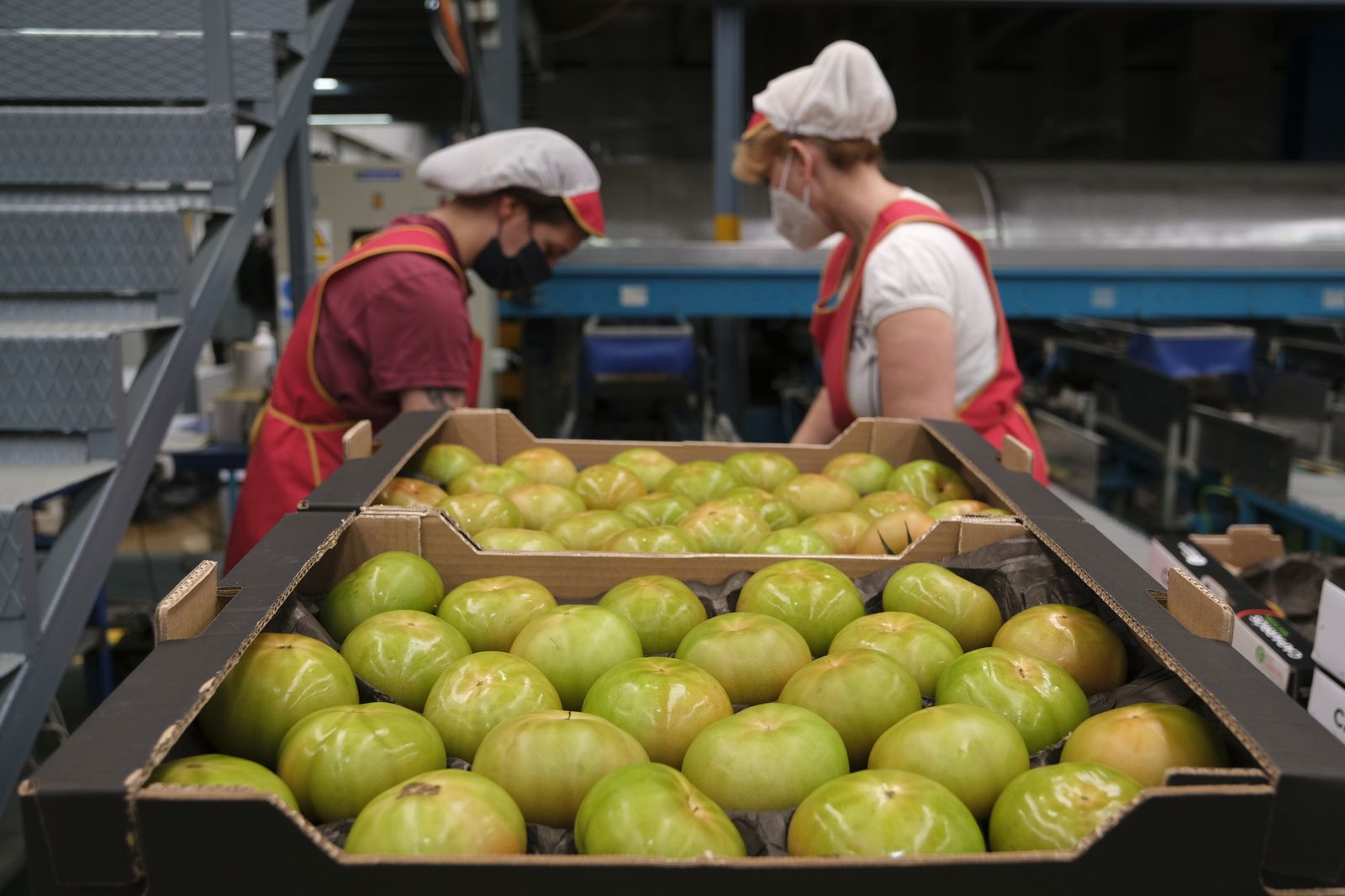 Fotogalería visita de Carmen Crespo a Grupo Caparrós. Almería