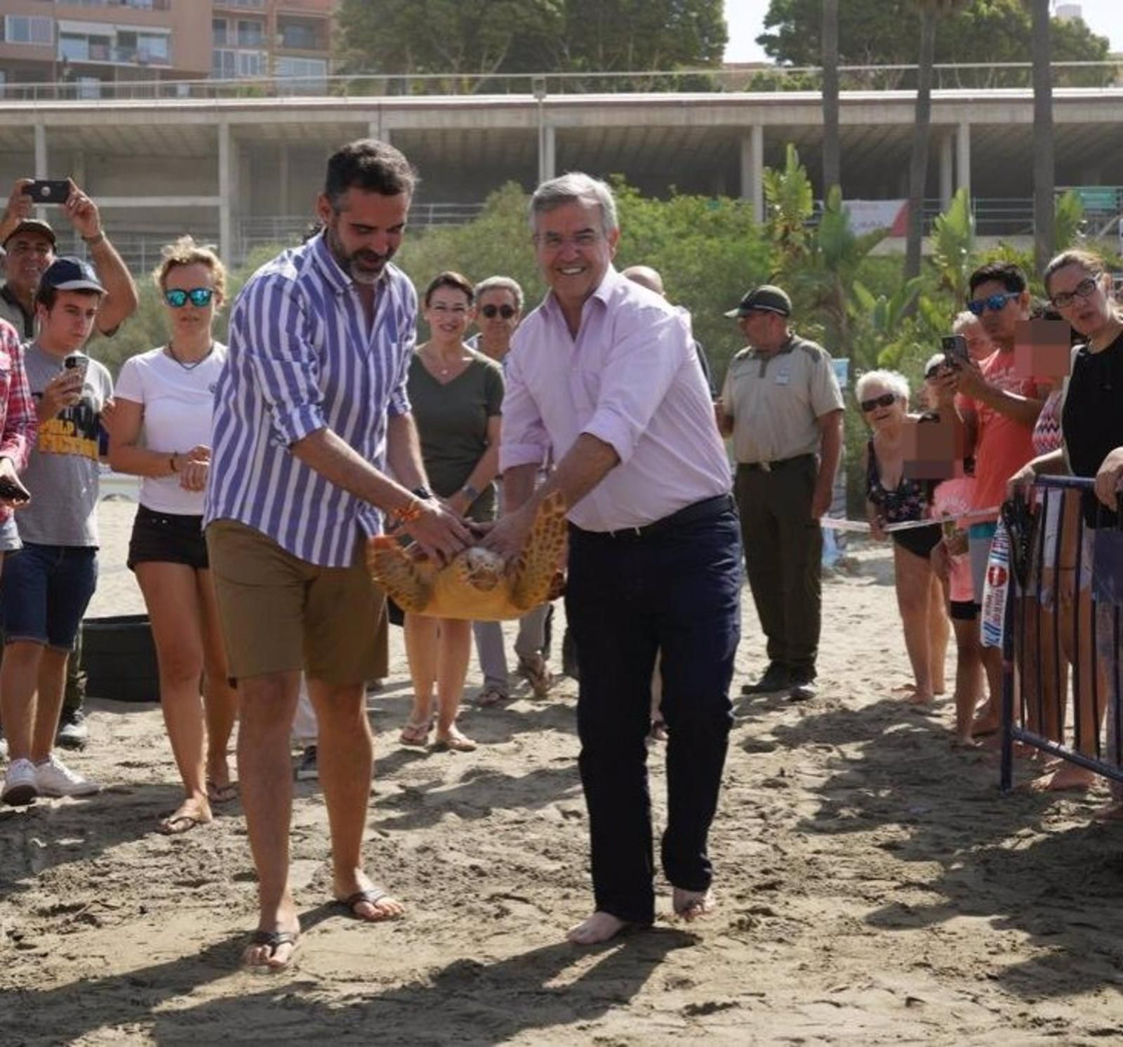 La tortuga Vélez siendo devuelta a su medio natural