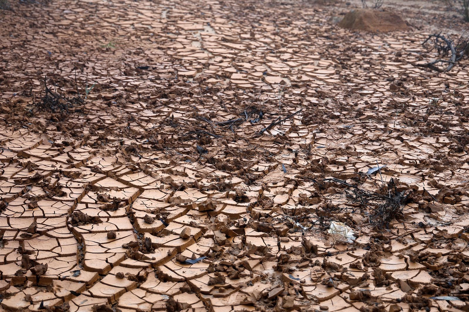 Imágenes de la densa niebla con la que han amanecido varios municipios de Huelva