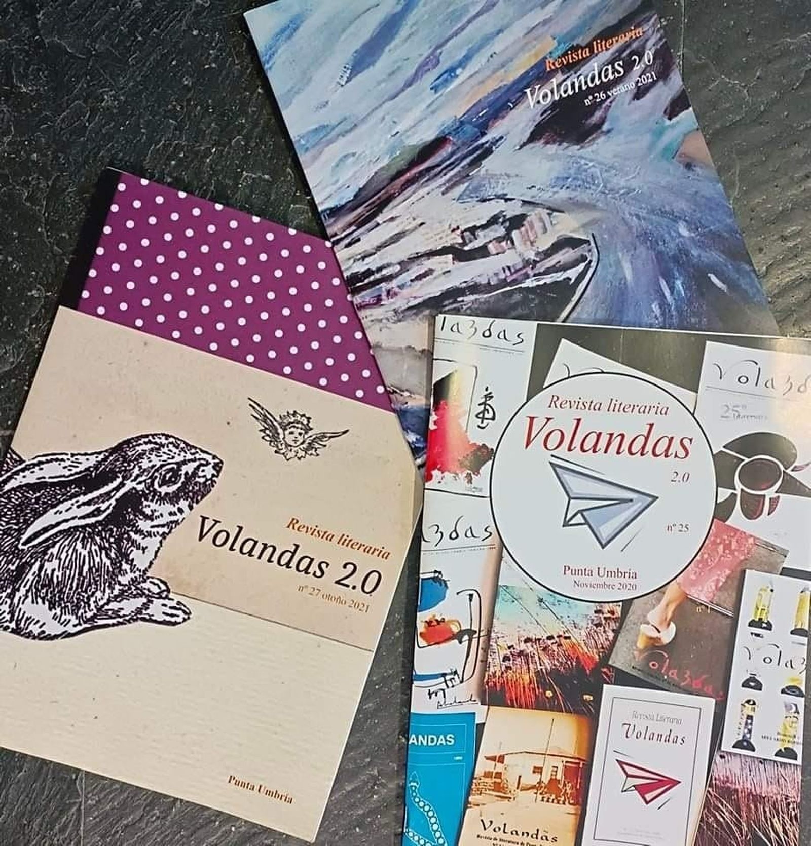 Volandas nació en 1978 como medio de expresión cultural.