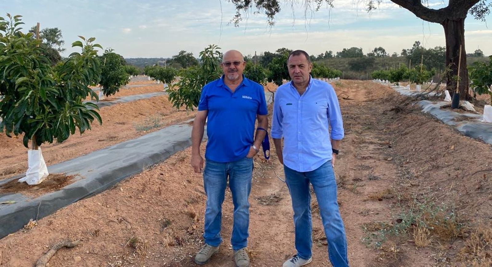 Martyn Pearce, director de Negocio de Ecoculture, y Juan López, delegado en Huelva, en un cultivo en esta provincia