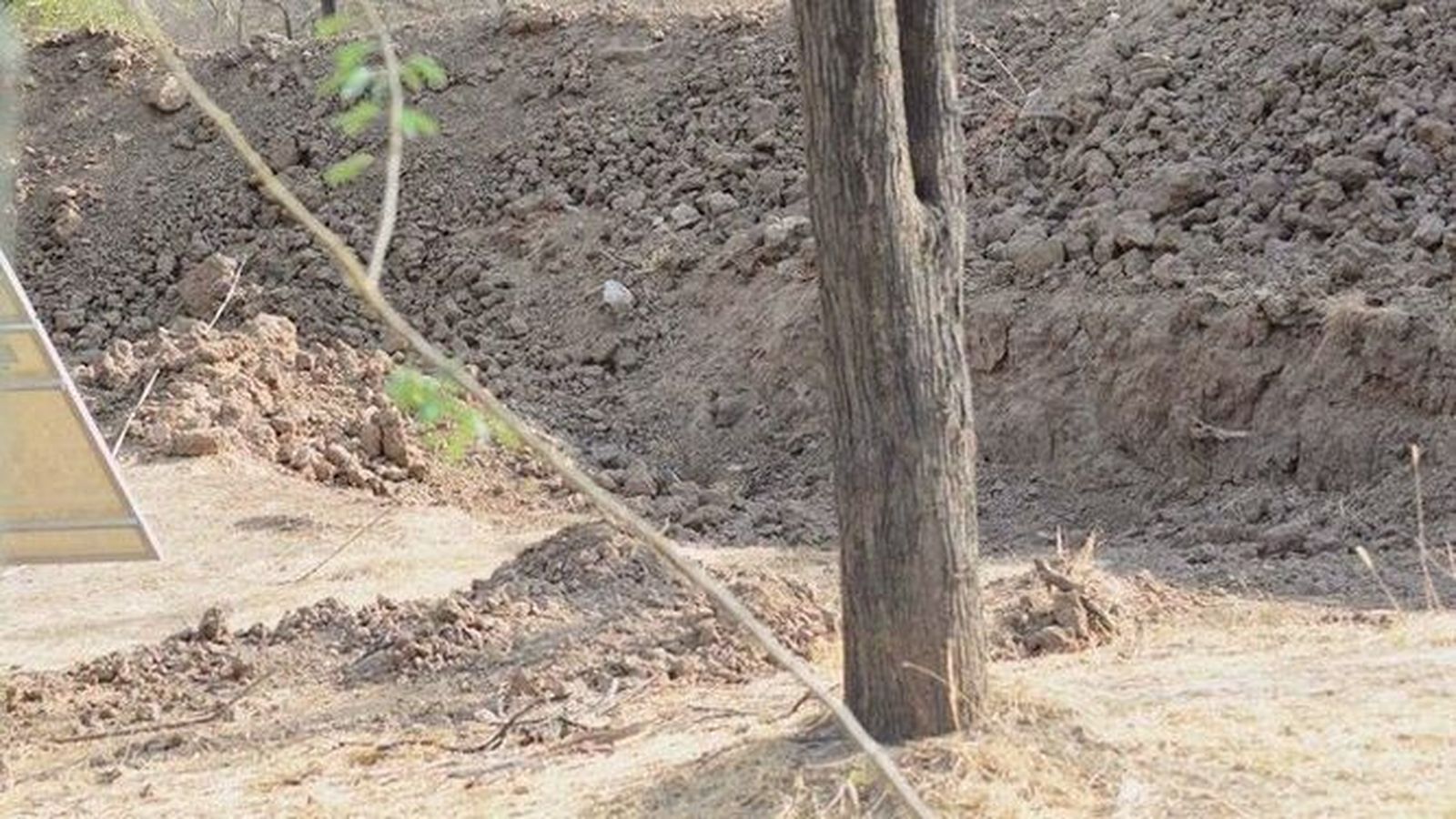 Busca al leopardo en la tierra