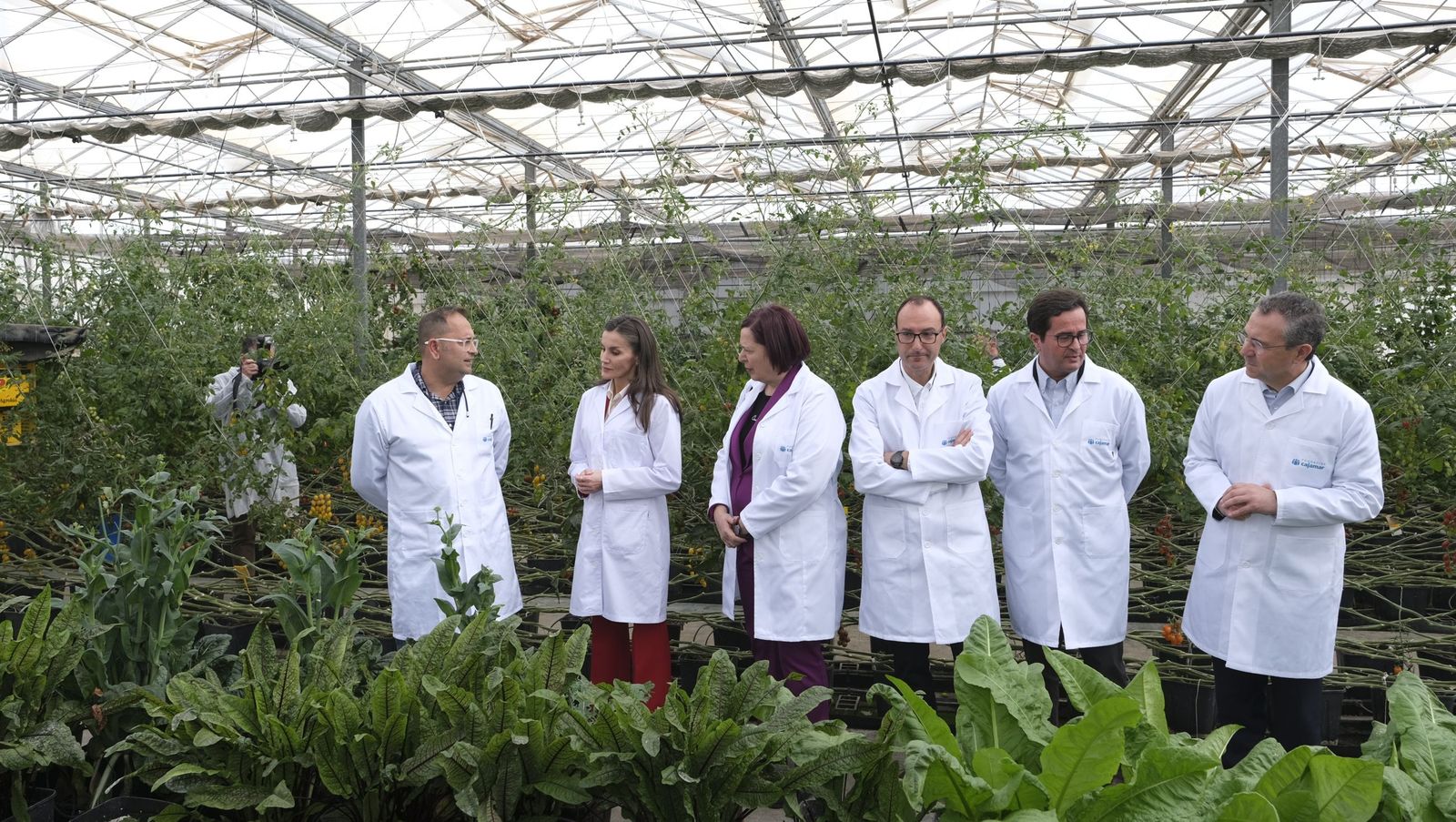 La visita de la reina Letizia a El Ejido, en imágenes