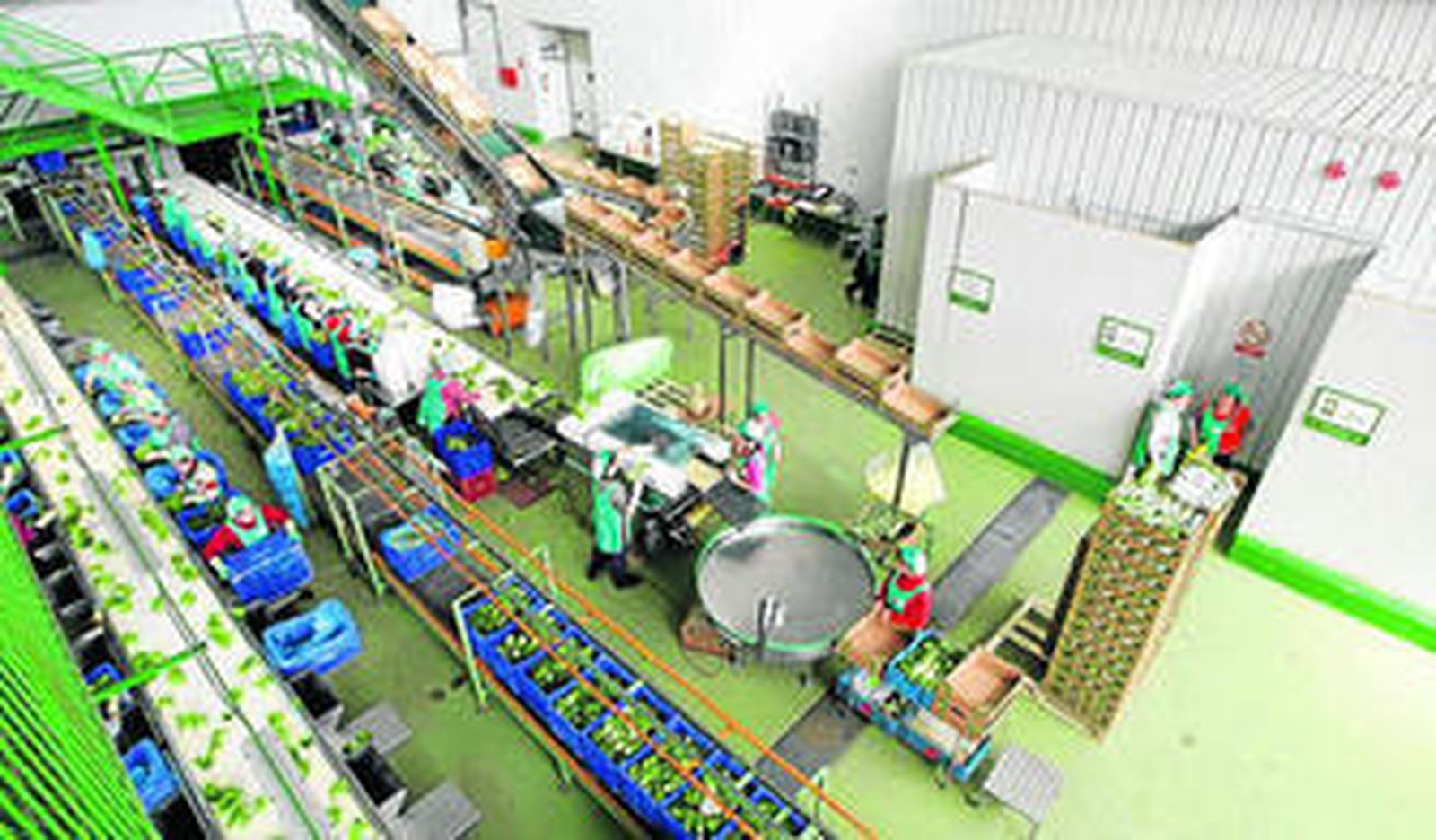 La empresa almeriense Primaflor está asociada a la murciana Proexport.