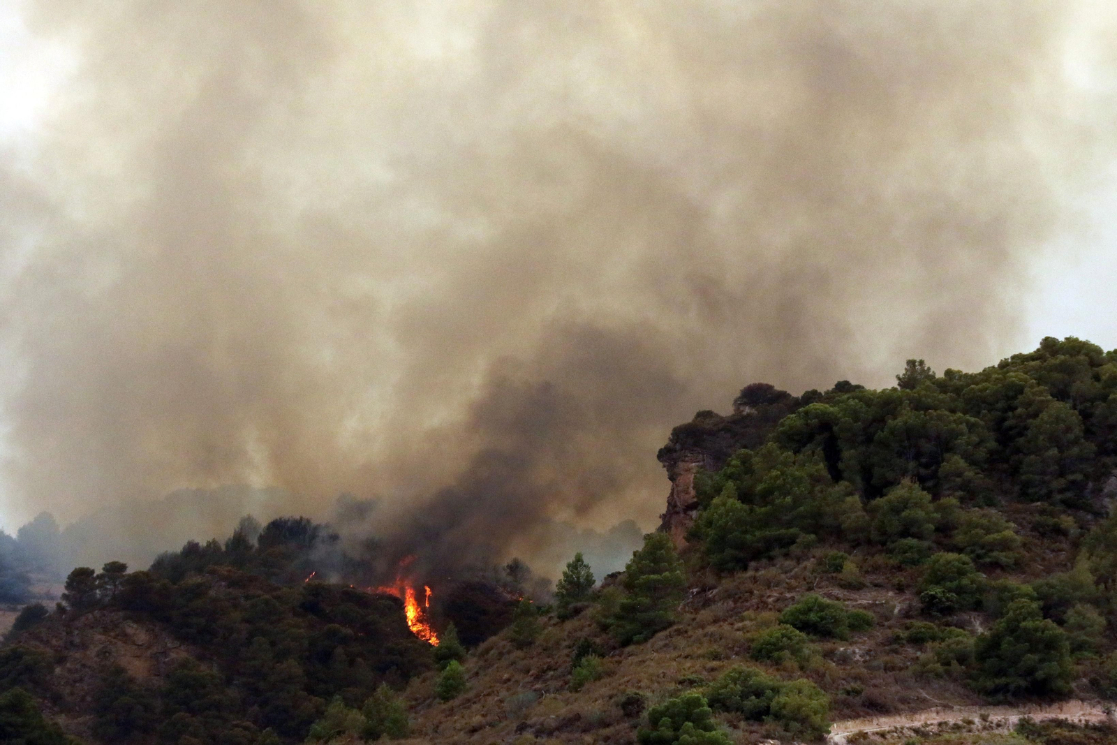Las imágenes del incendio de Granada que causa terror en la provincia