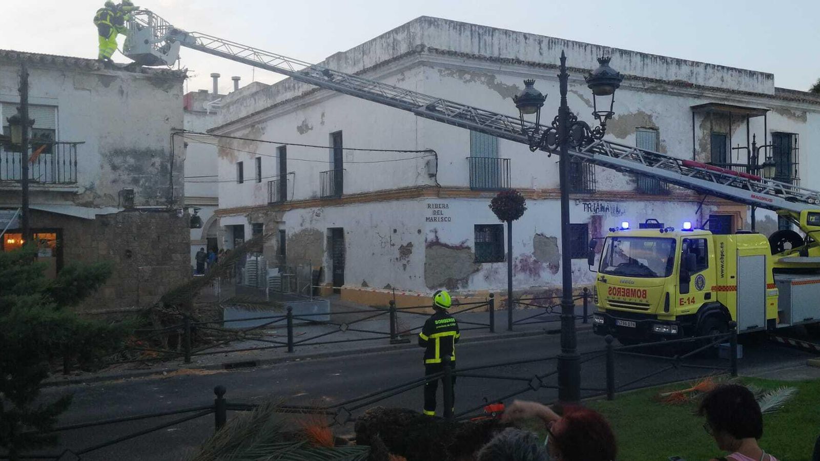 La copa de la palmera ya ha sido retirada por los Bomberos del tejado donde quedó depositada.
