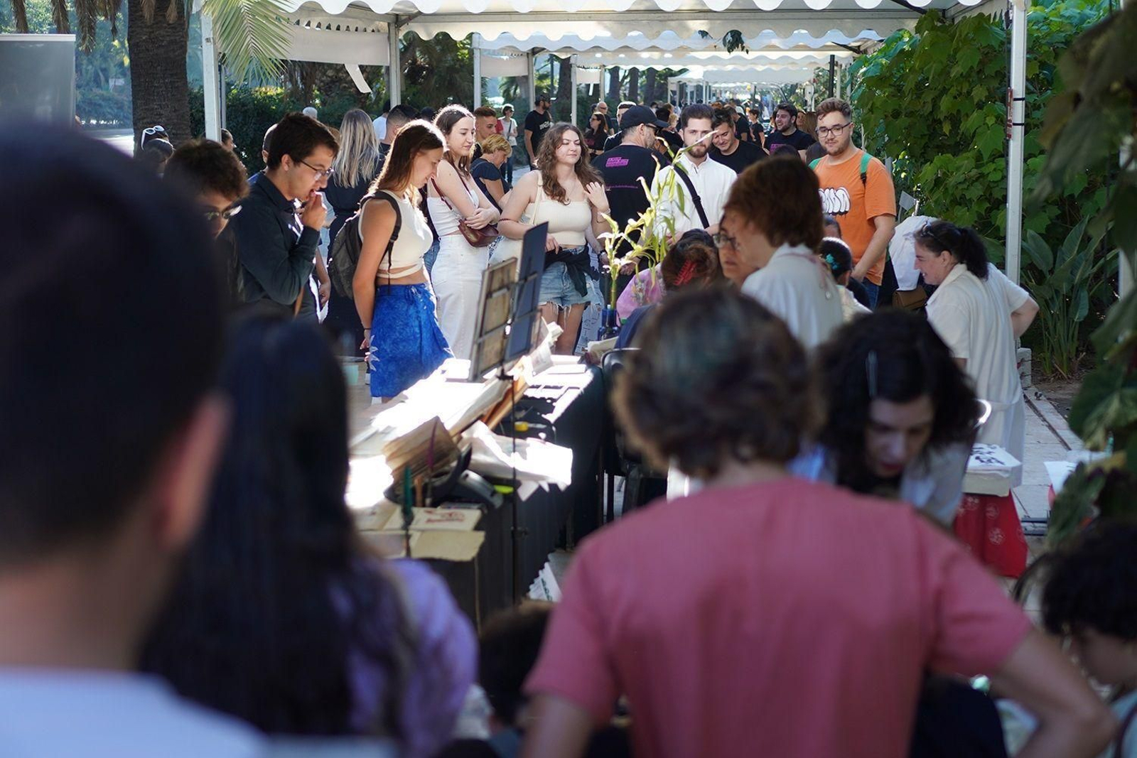 Un instante del evento en el Paseo del Parque. Un instante del evento en el Paseo del Parque.