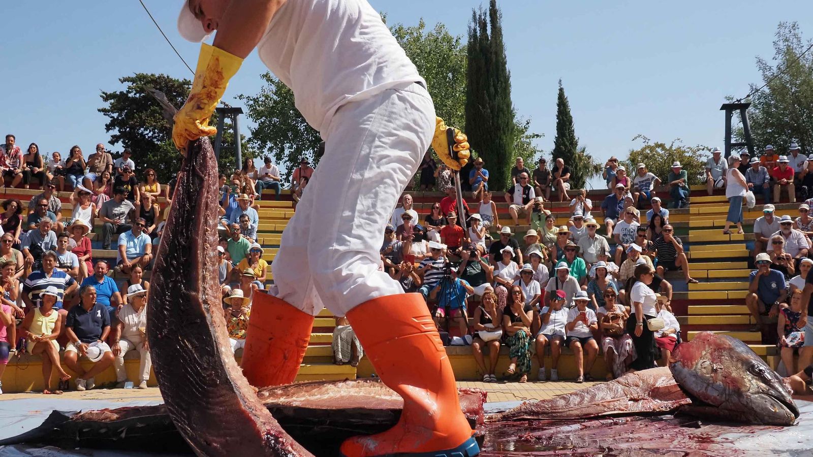Unas 300 personas se han dado cita en el auditorio del recinto ferial El Carmen de Isla Cristina