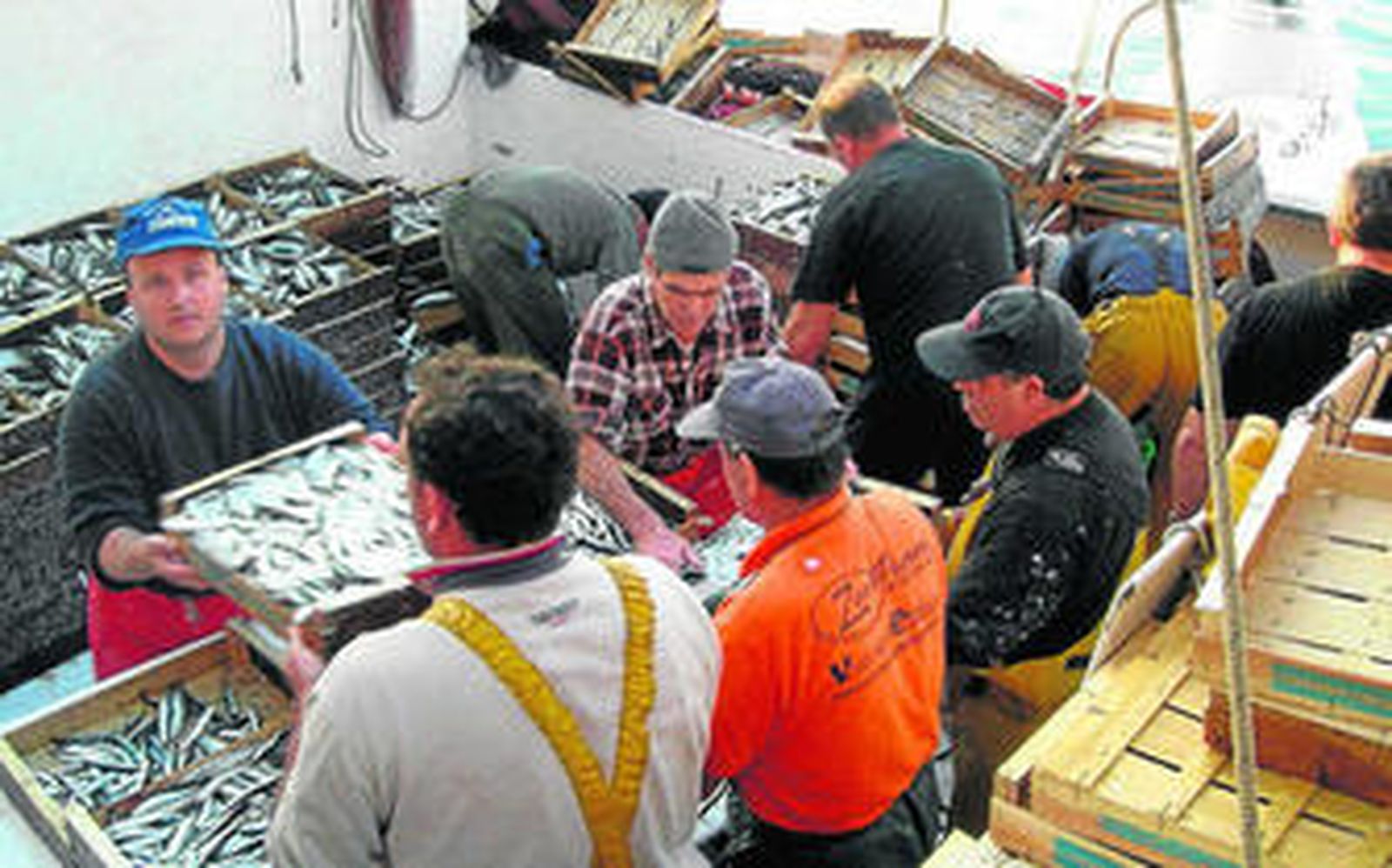 Descarga de un barco pesquero de la flota almeriense a su llegada al puerto de la capital.