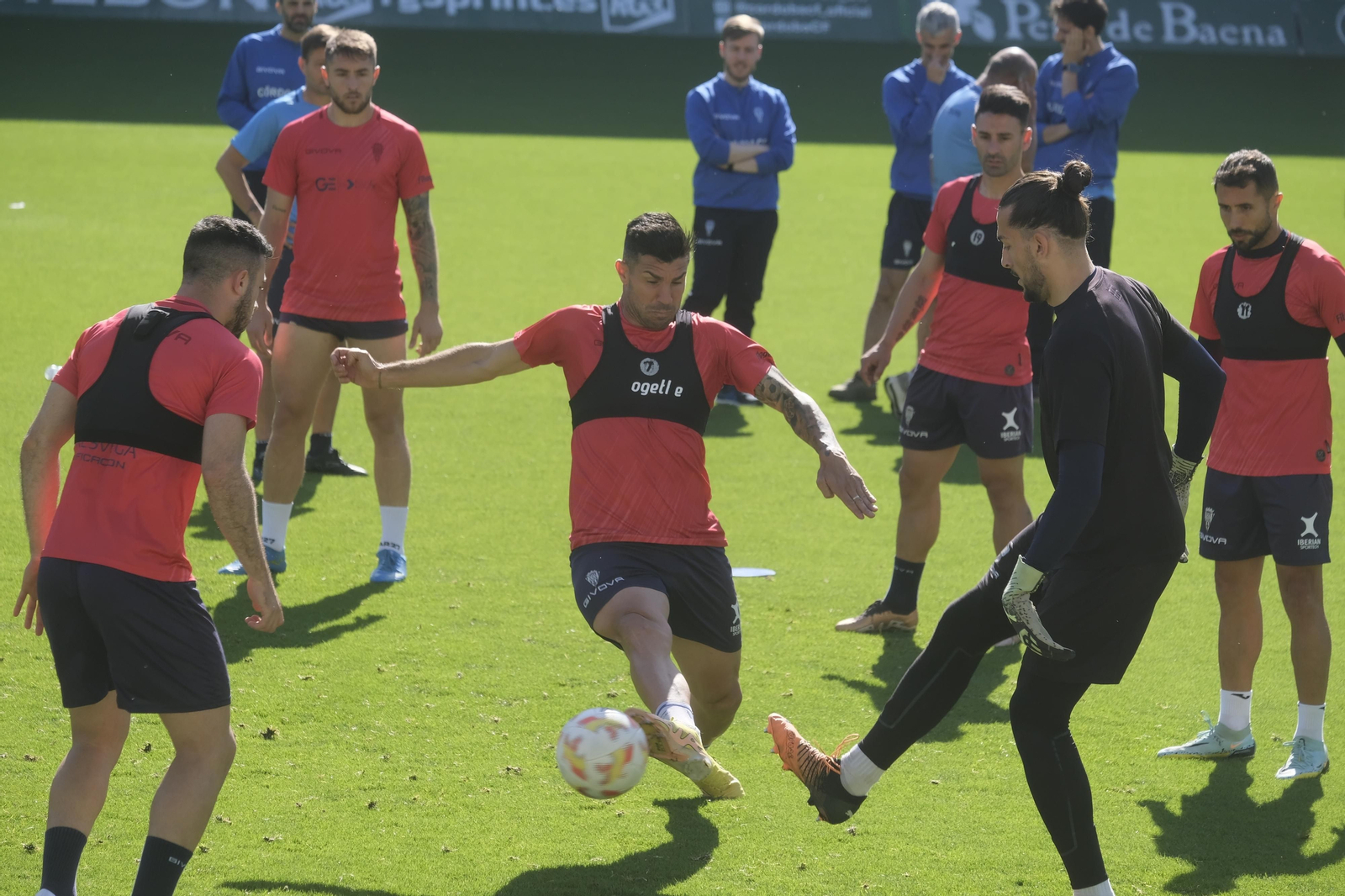 El primer entrenamiento de Manuel Mosquera como técnico del Córdoba CF, en imágenes