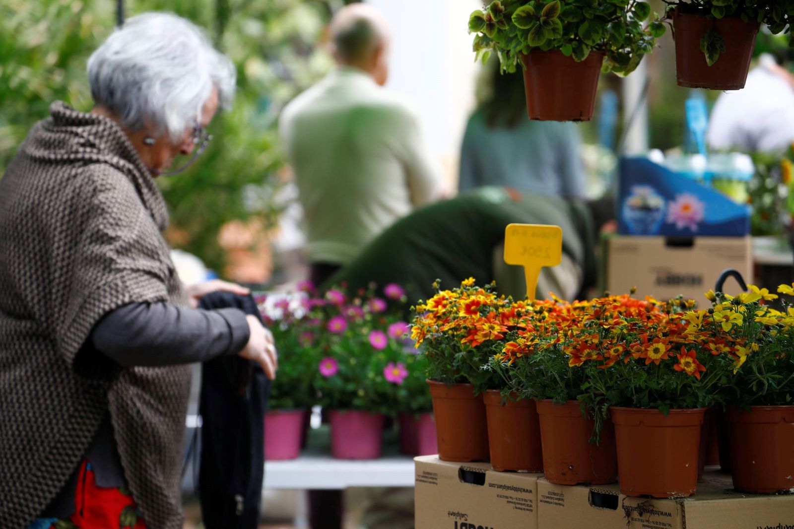 Así es la III Feria de las Orquídeas de Córdoba, en fotografías