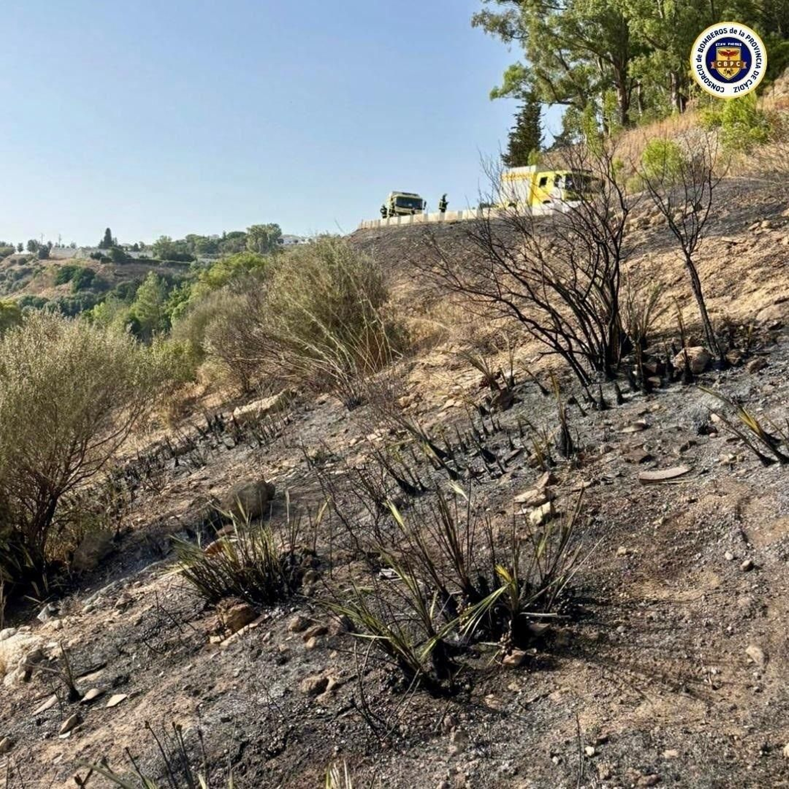 Actuación de los bomberos en el incendio en Medina.