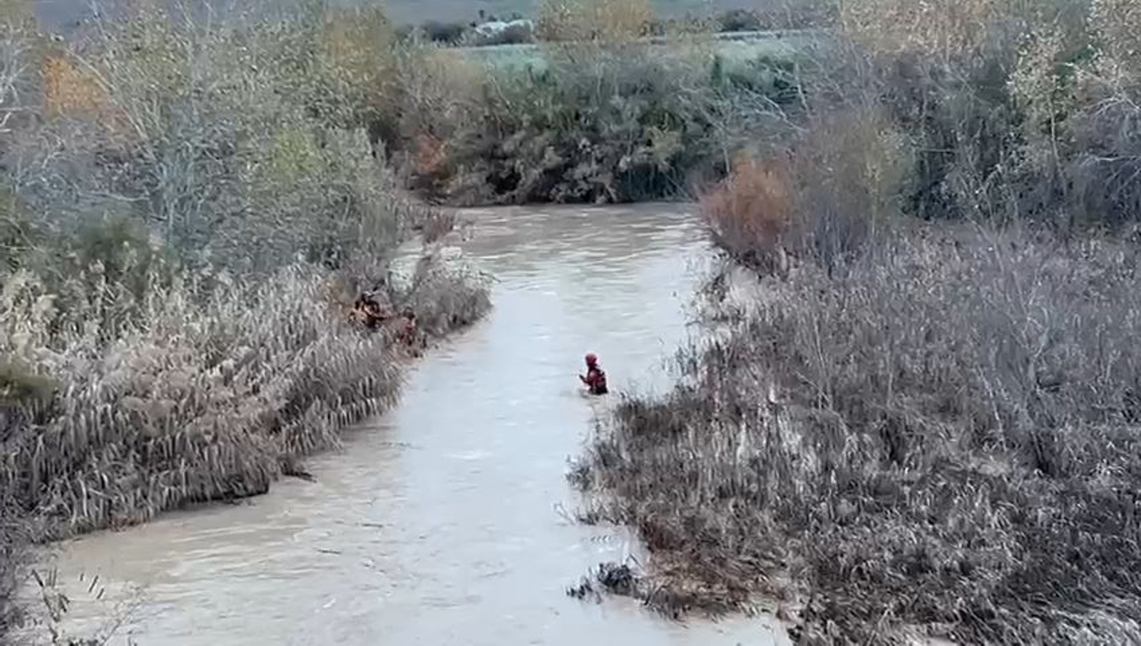 Los bomberos de Córdoba rescatan del río Guadalquivir a una perra