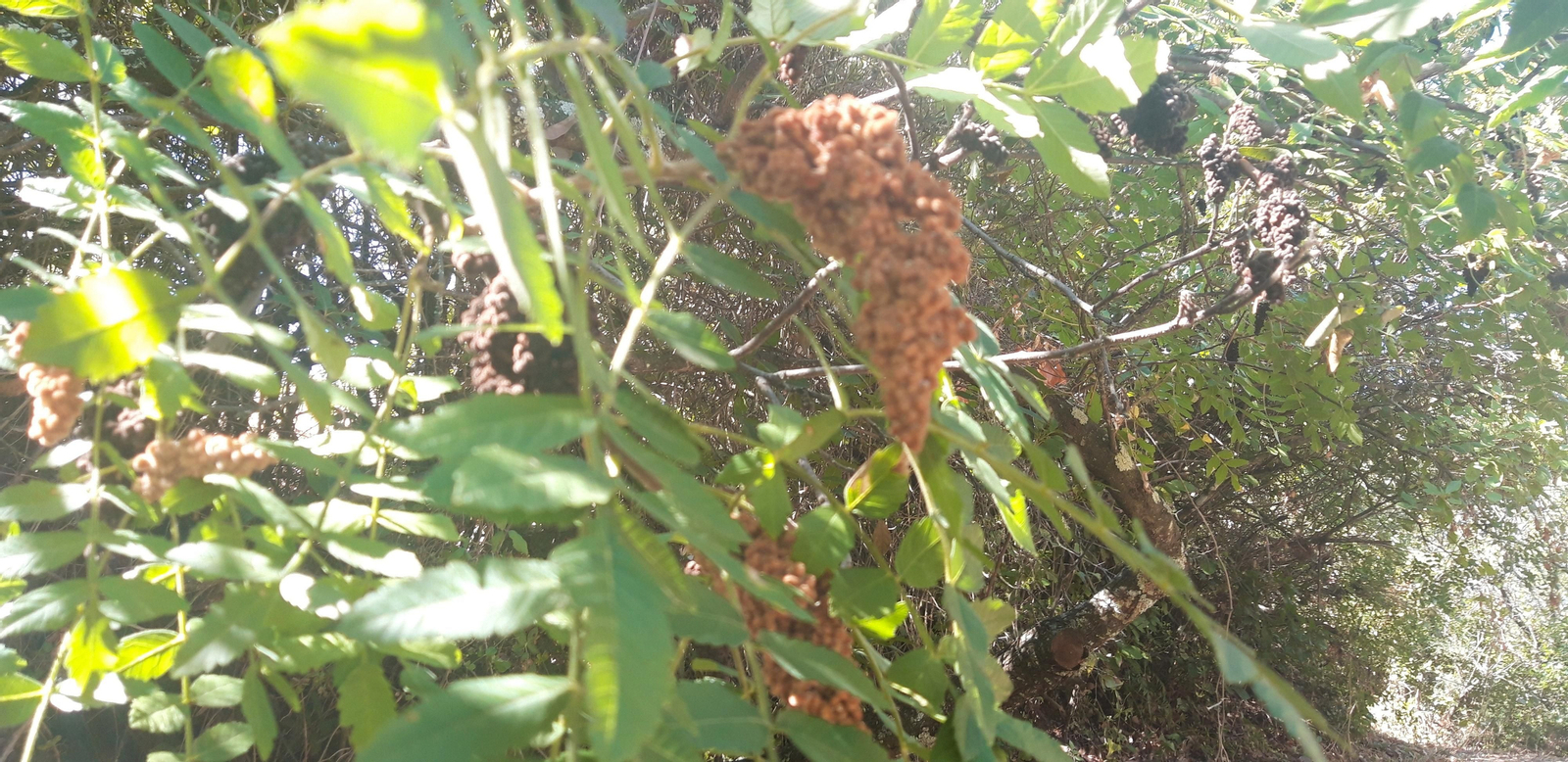 Las fotos de la Circular del Campovid