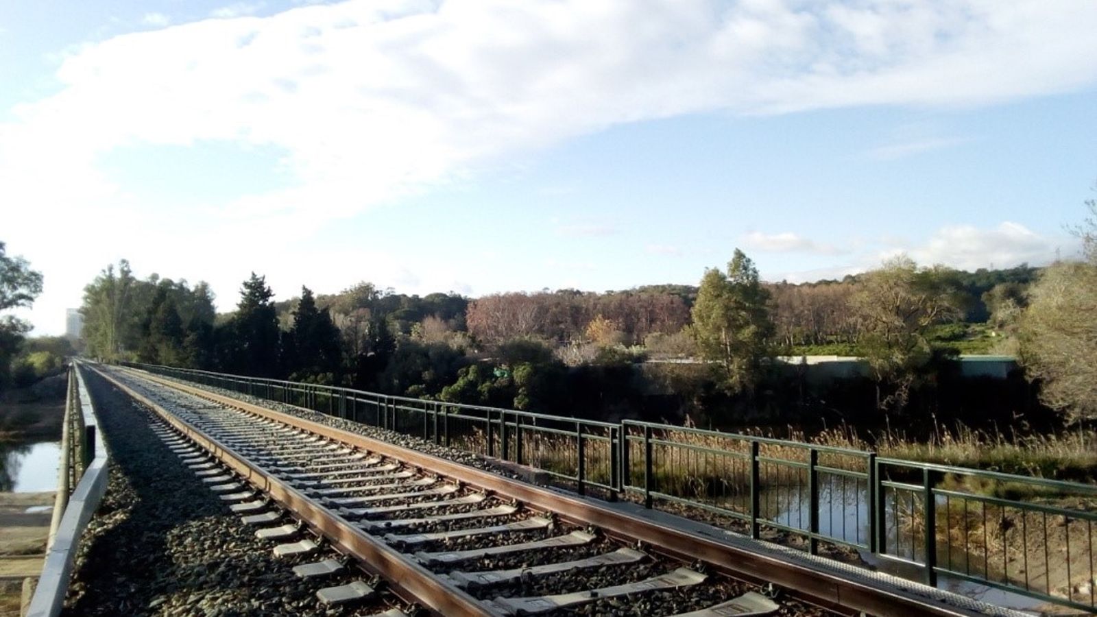 Vías del tendido ferroviario entre Algeciras y Bobadilla.