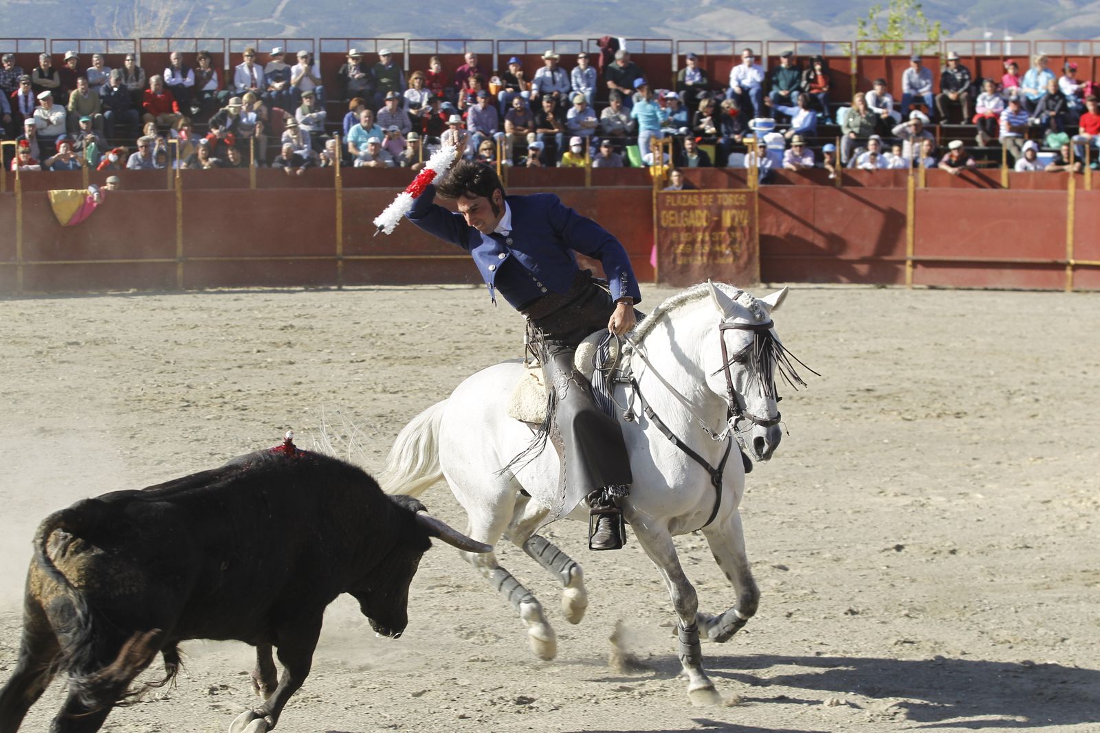 Fotogalería Festival Taurino Mixto. Fiestas de Abrucena.