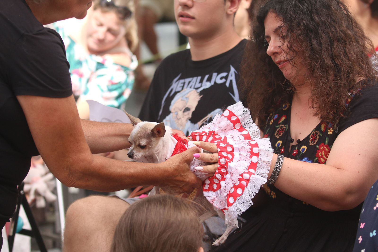 Fotogalería del concurso canino. Feria de Almería 2019