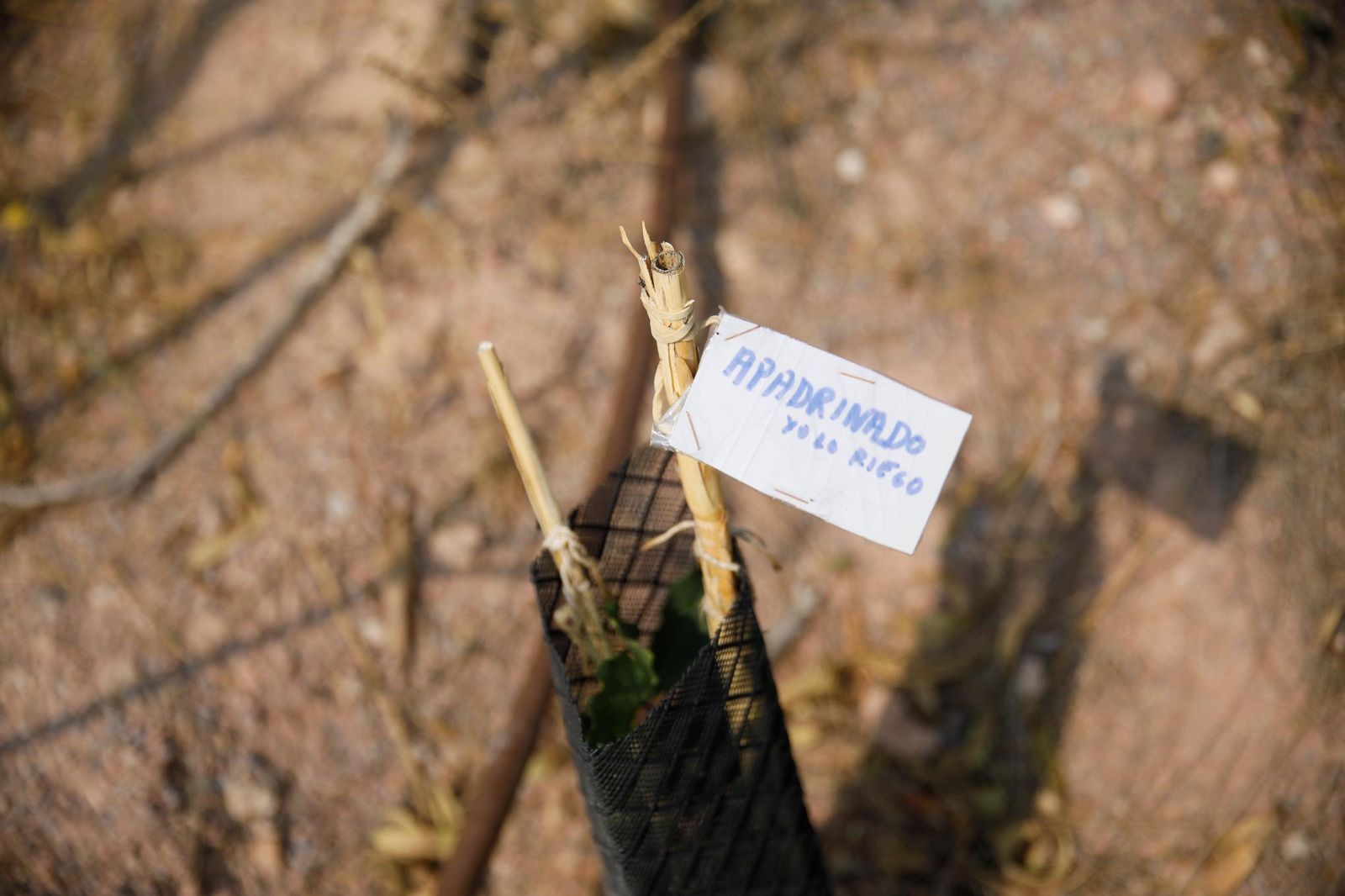 Presentación proyecto custodia compartida del Cordel de la Campita de Almería