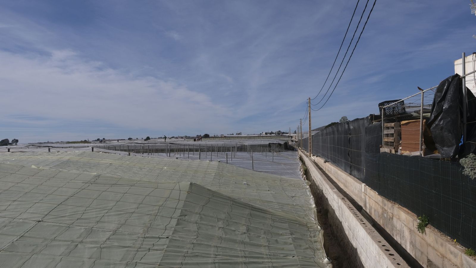 Los efectos del temporal de viento en los invernaderos, en imágenes