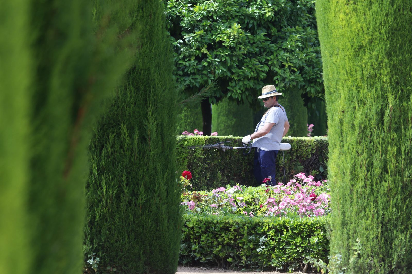 Las fotografías de la reapertura al público del Alcázar