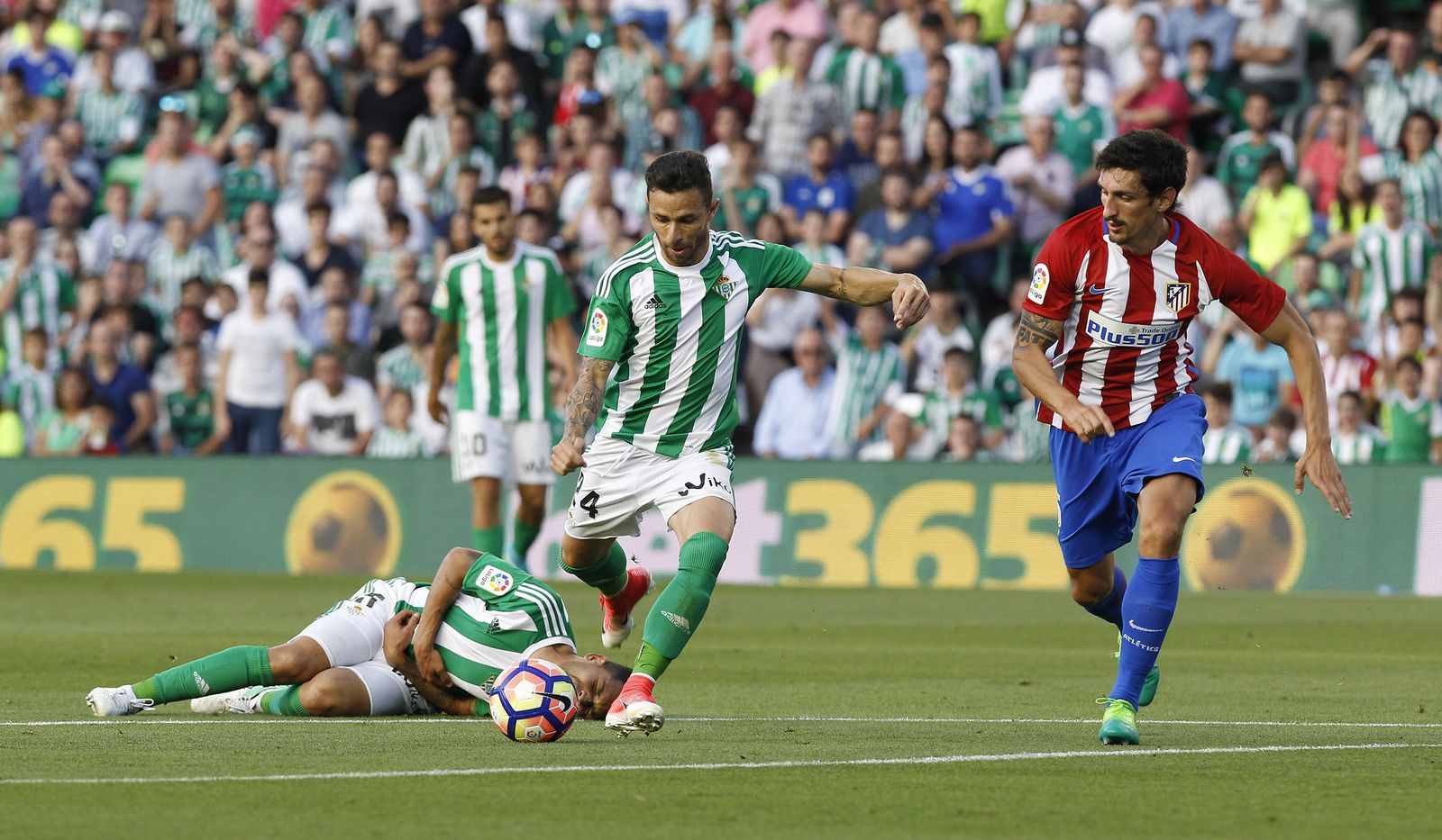 Las imágenes del Betis-Atlético