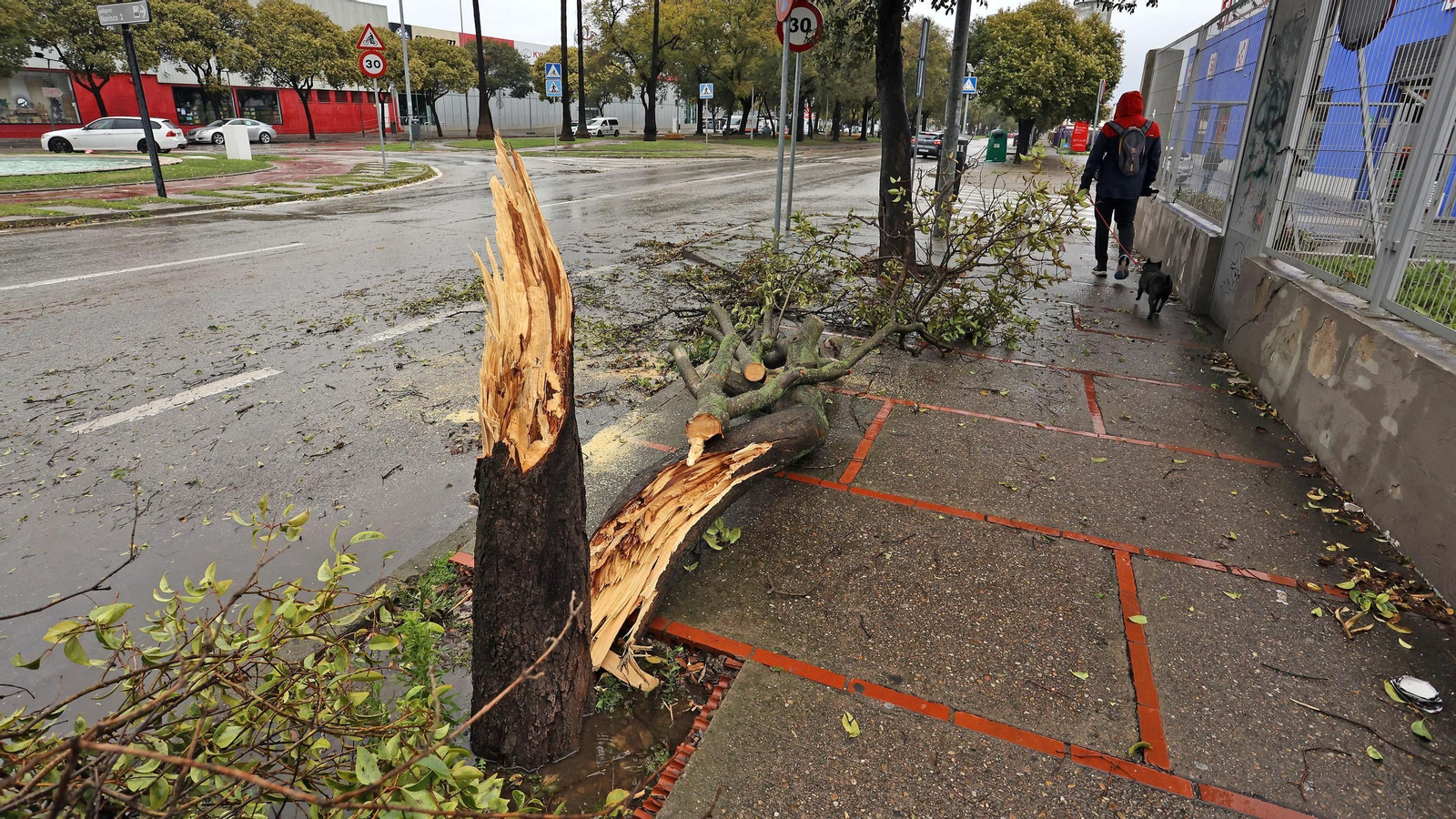 Imágenes del temporal de viento y lluvia en Jerez