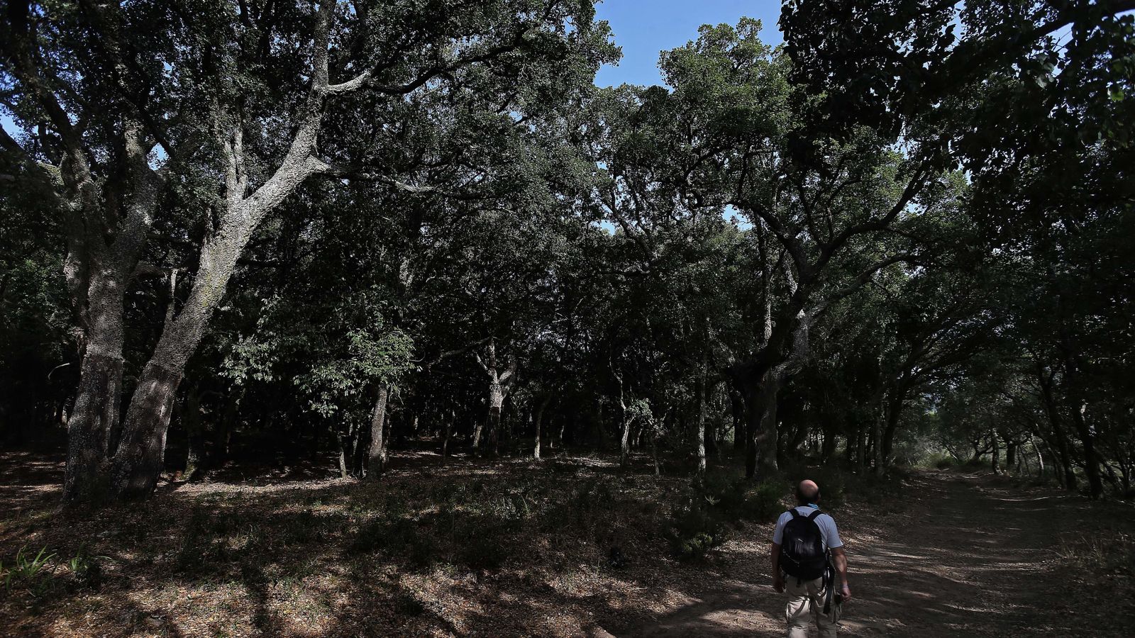 Las mejores fotos de San Carlos del Tiradero