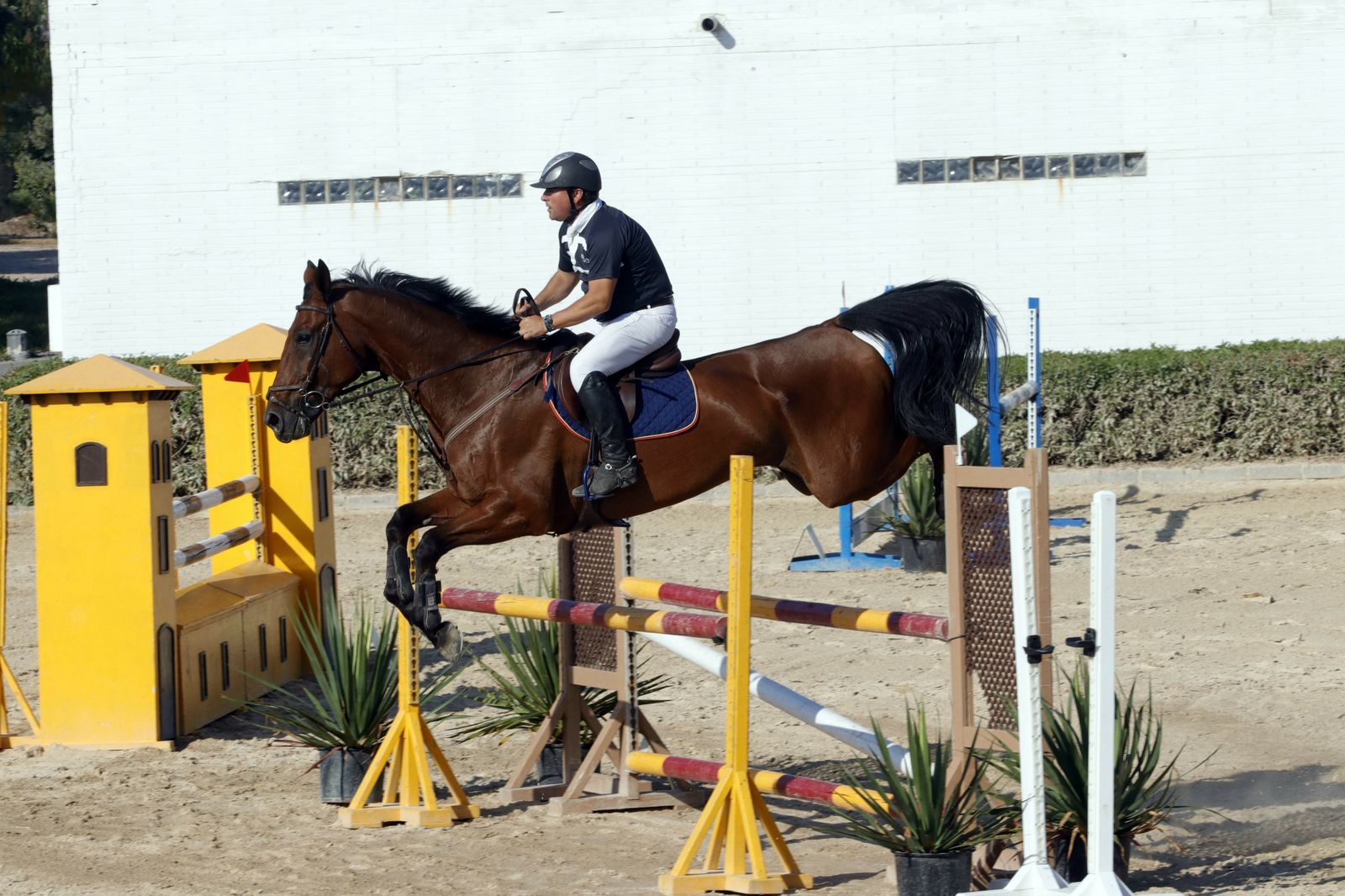 Fotogalería del XLV Concurso Nacional de Salto de Obstáculos