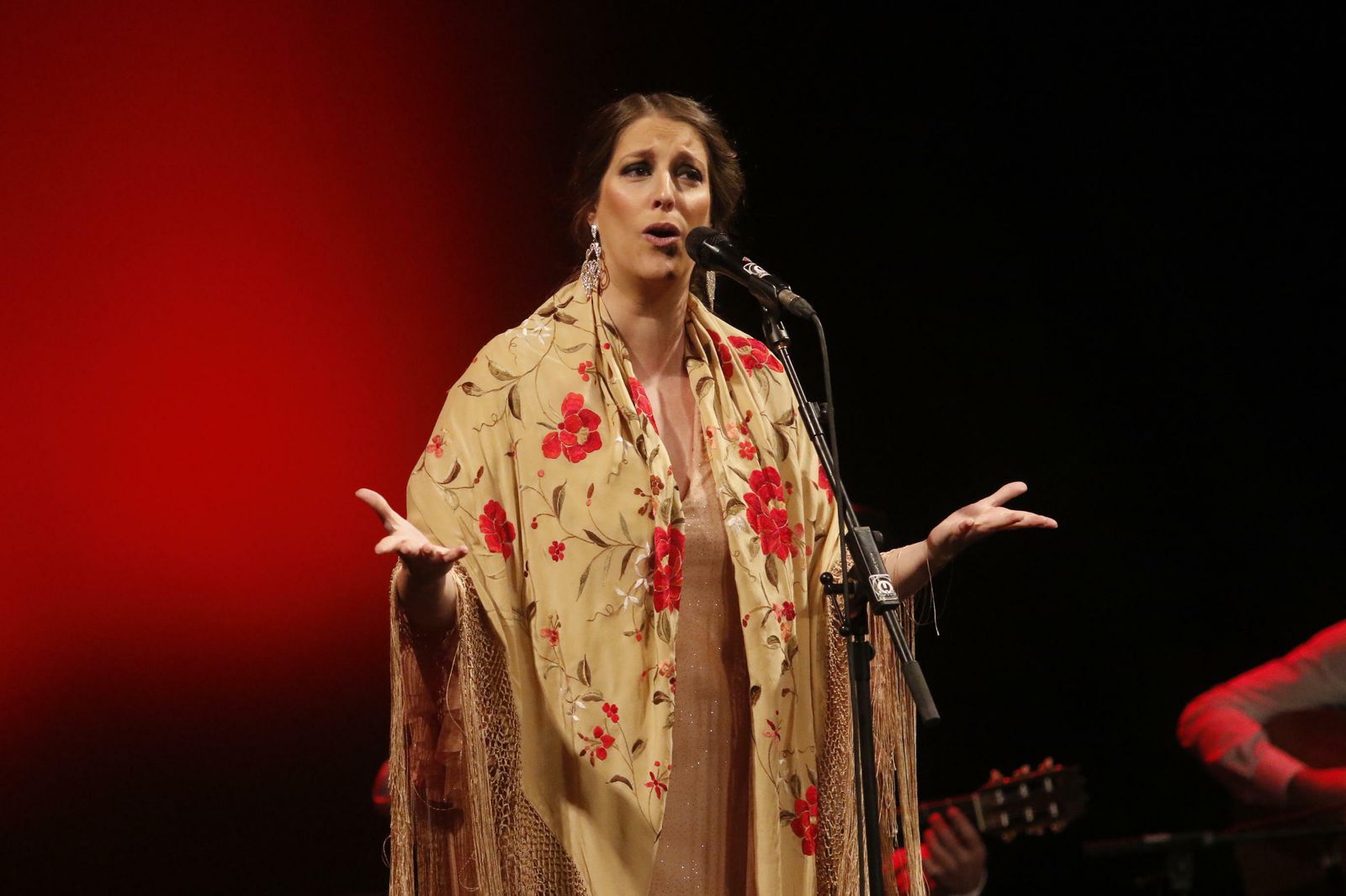 Argentina, en su concierto del pasado jueves en el Gran Teatro.