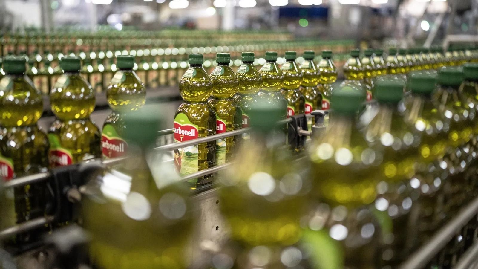 Imagen de una planta de envasado de aceite de oliva.