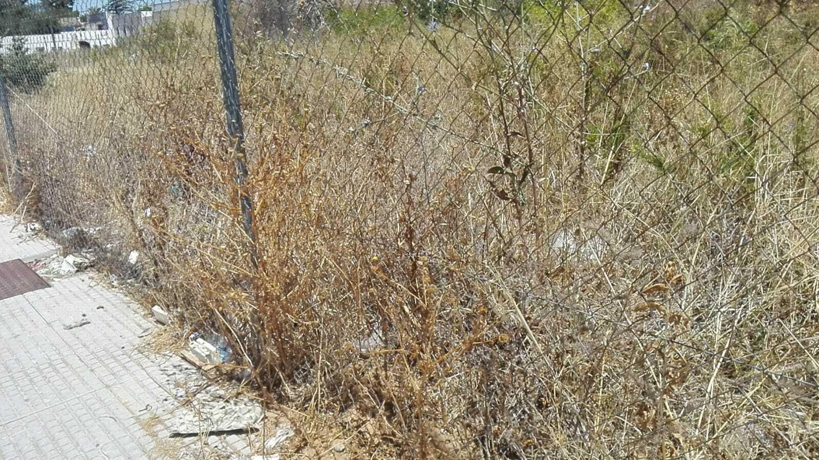 El estado en que se encuentra la vegetación seca,  muy cerca del colegio de La Salle.