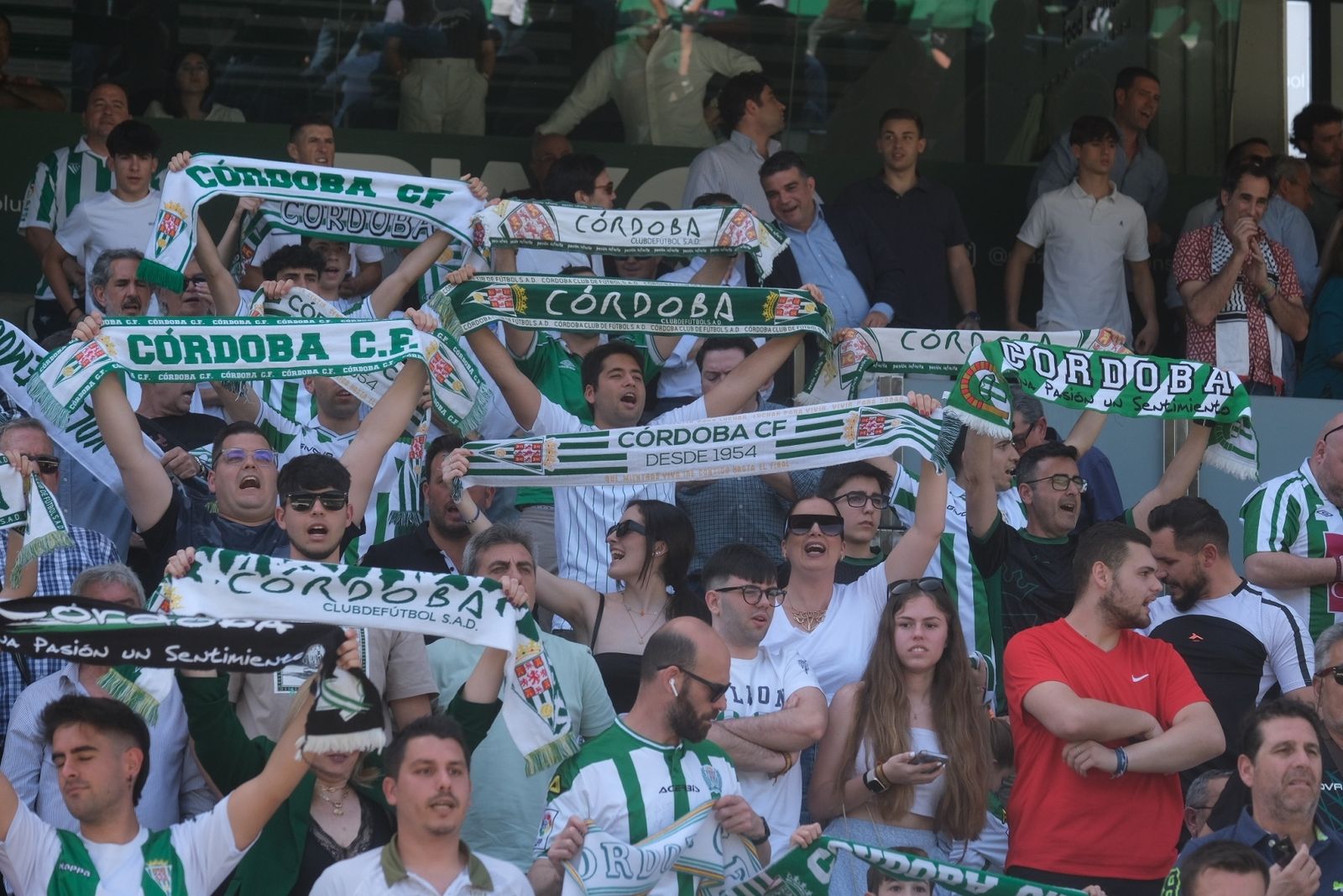 Las mejores fotos del Córdoba CF - Alcoyano en El Arcángel