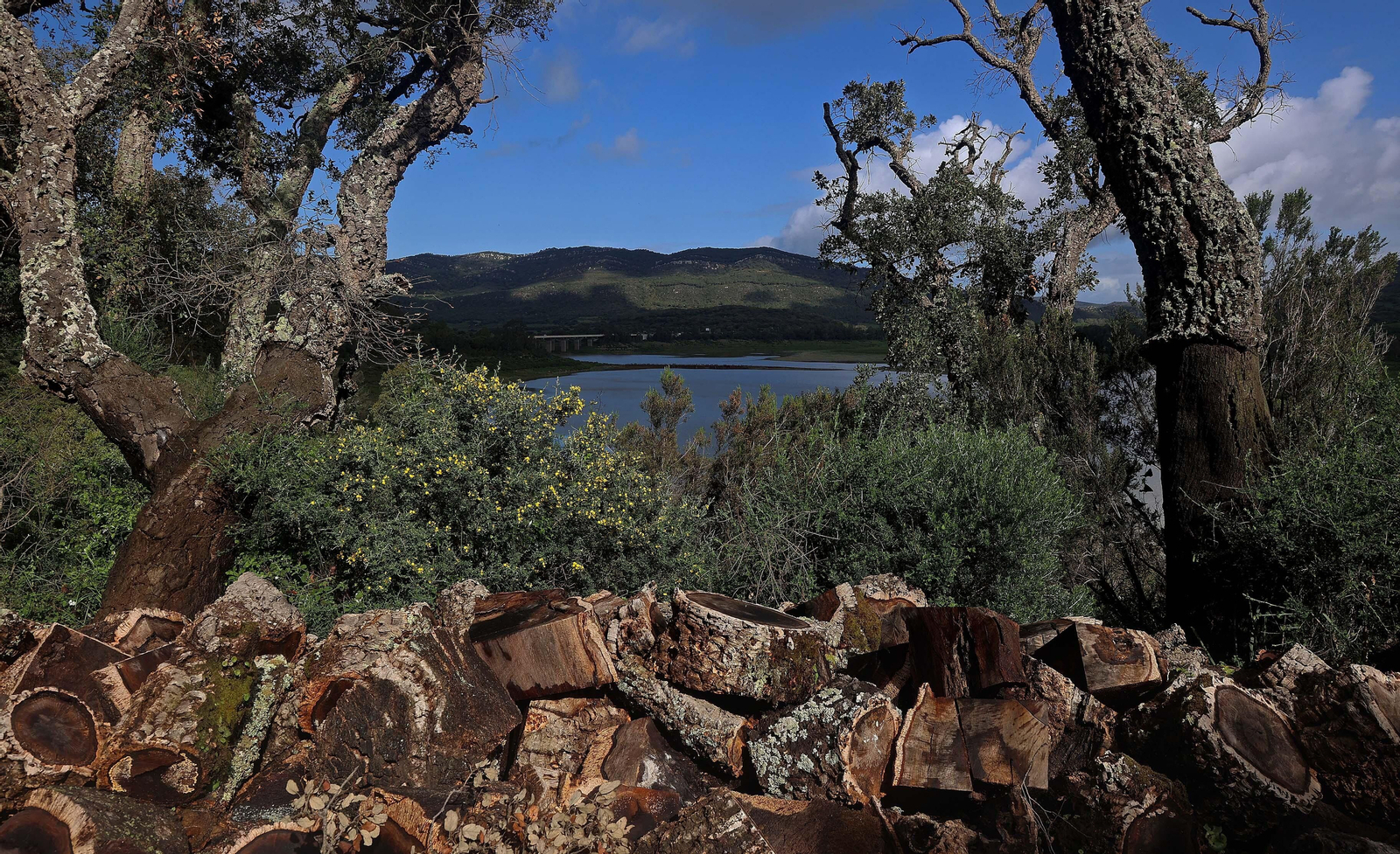 Imágenes del embalse de Charco Redondo en Los Barrios