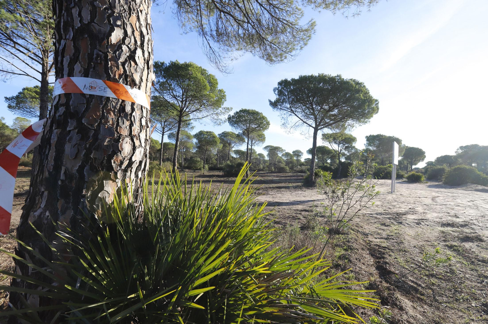 Terrenos donde se asentará el centro de vuelos no tripulados esta misma semana.