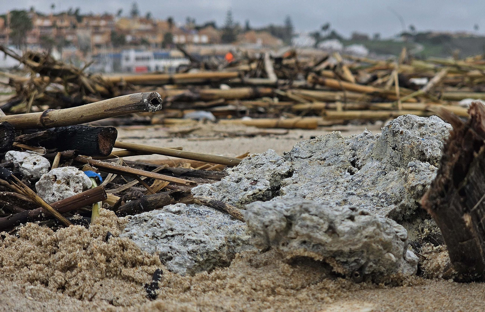 Fotos de la limpieza de las bolas blancas en la playa de Getares en Algeciras