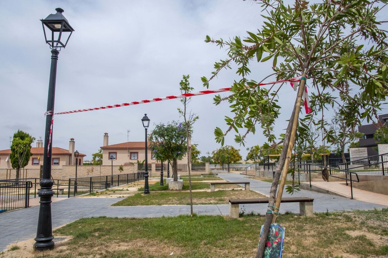Un árbol sujeto a una farola para evitar que se acabe de doblar en el parque Pedriatra Antonio Escobar.