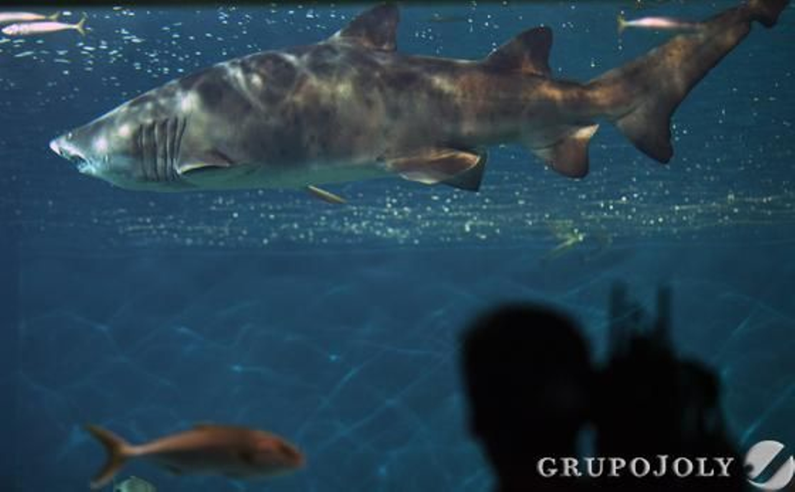 Foto: Antonio Pizarro