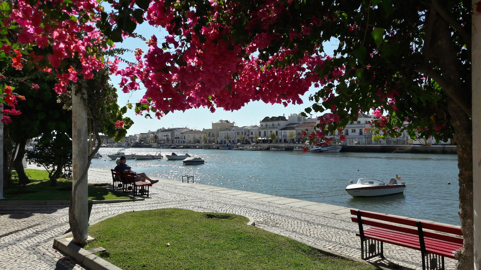 Tavira.
