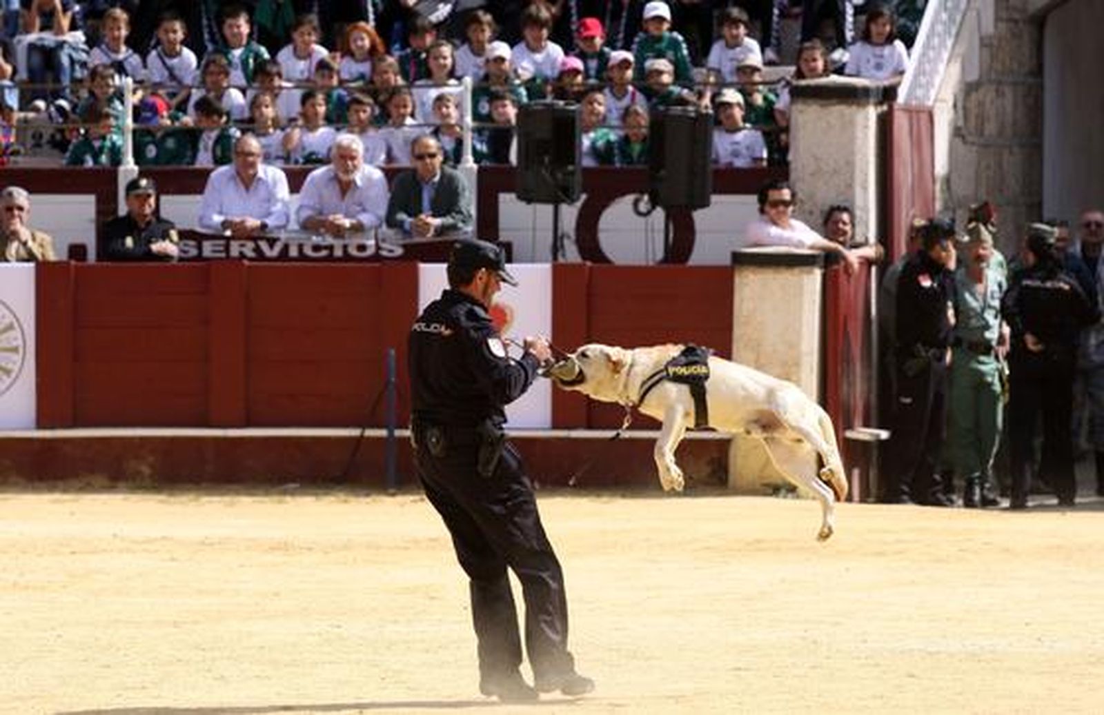 Exhibición policial ante escolares en La Malagueta

Foto: Javier Albiñana