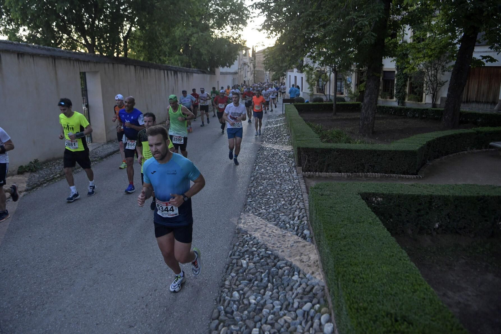 Atletas durante una carrera por Granada