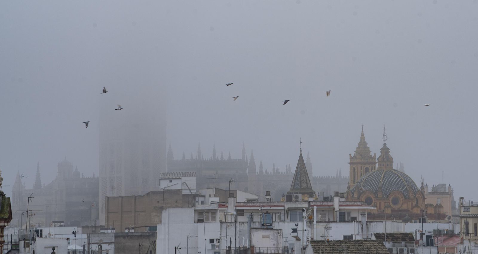Las imágenes de la niebla en Sevilla