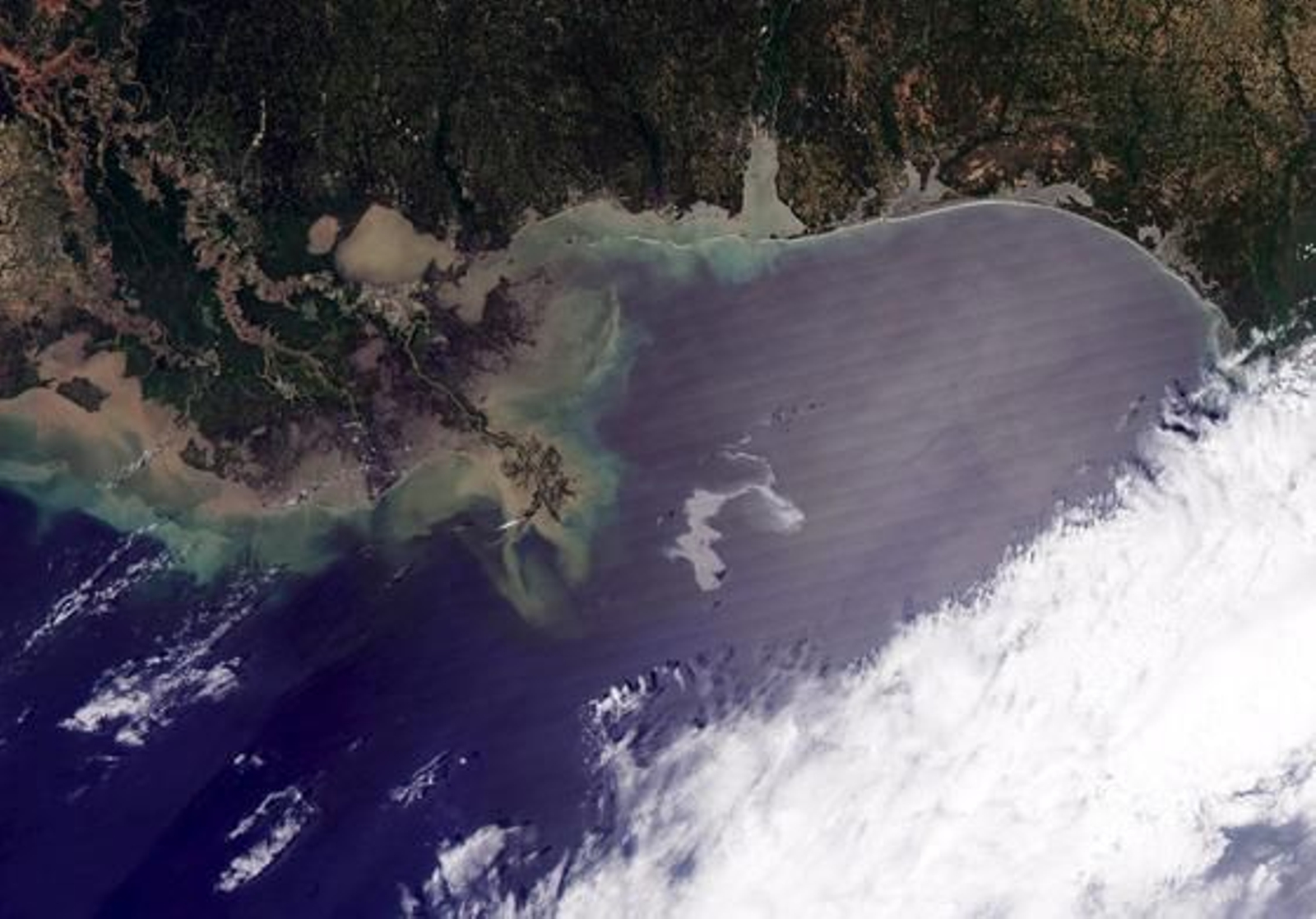 El petróleo vertido en el Golfo de México por una plataforma petrolífera amenaza las costas estadounidenses de Luisiana.

Foto: nasa