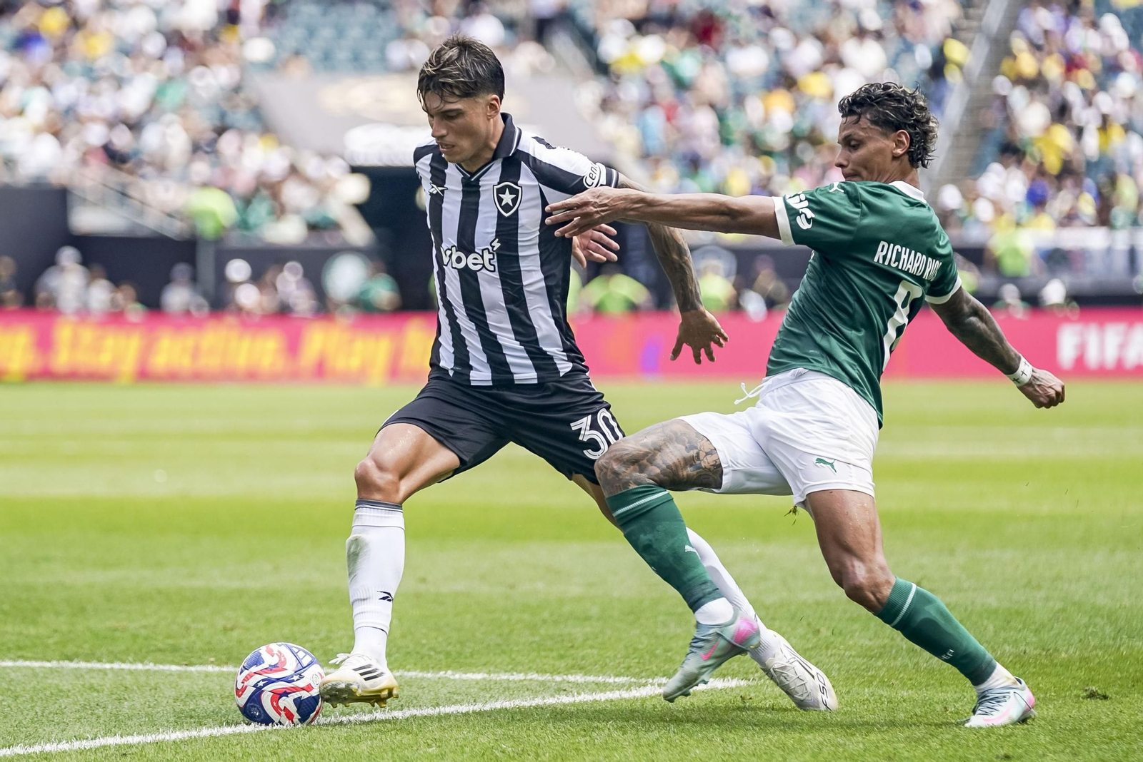 Palmeiras-Botafogo (35).jpg