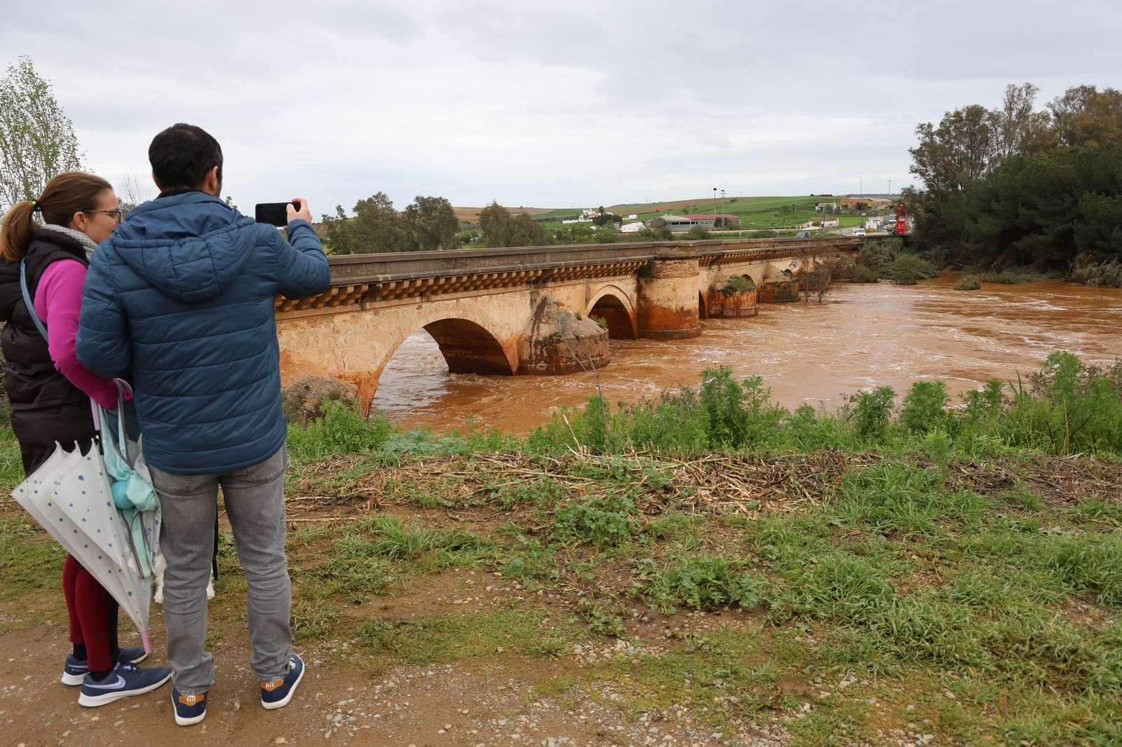 Imágenes del río Tinto a su paso por Niebla tras la borrasca Laurence