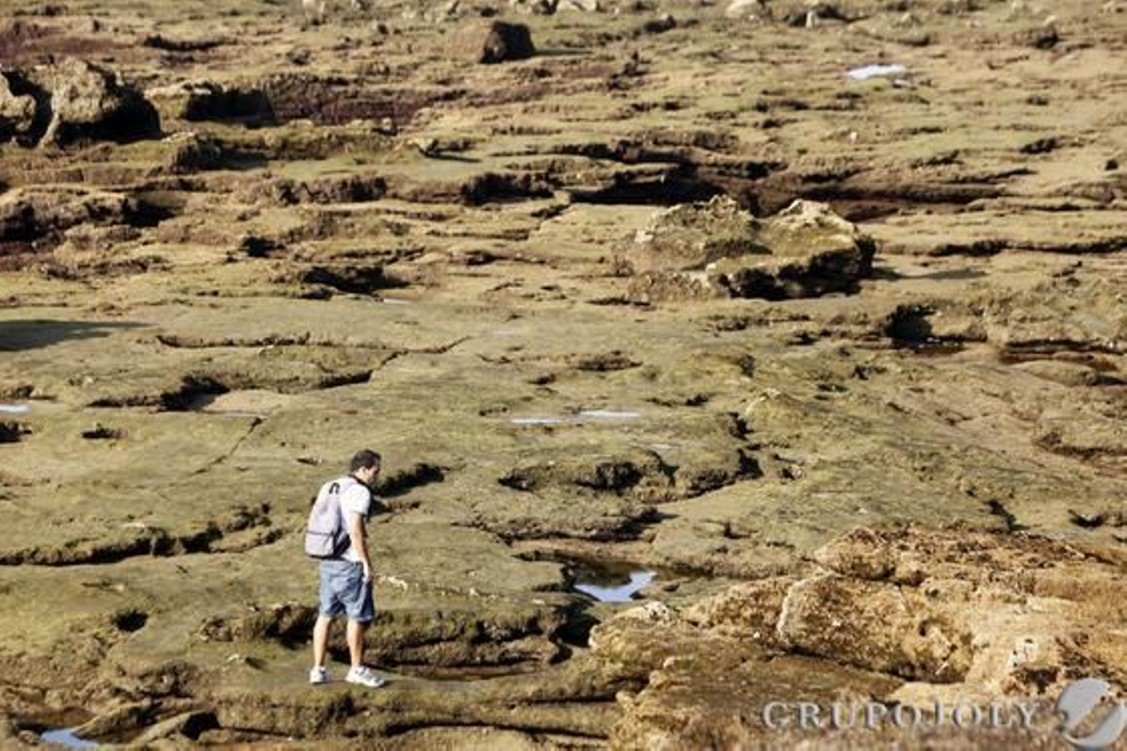 Imágenes del momento de una espectacular bajamar en las playas de Cádiz.

Foto: Jesus Marin